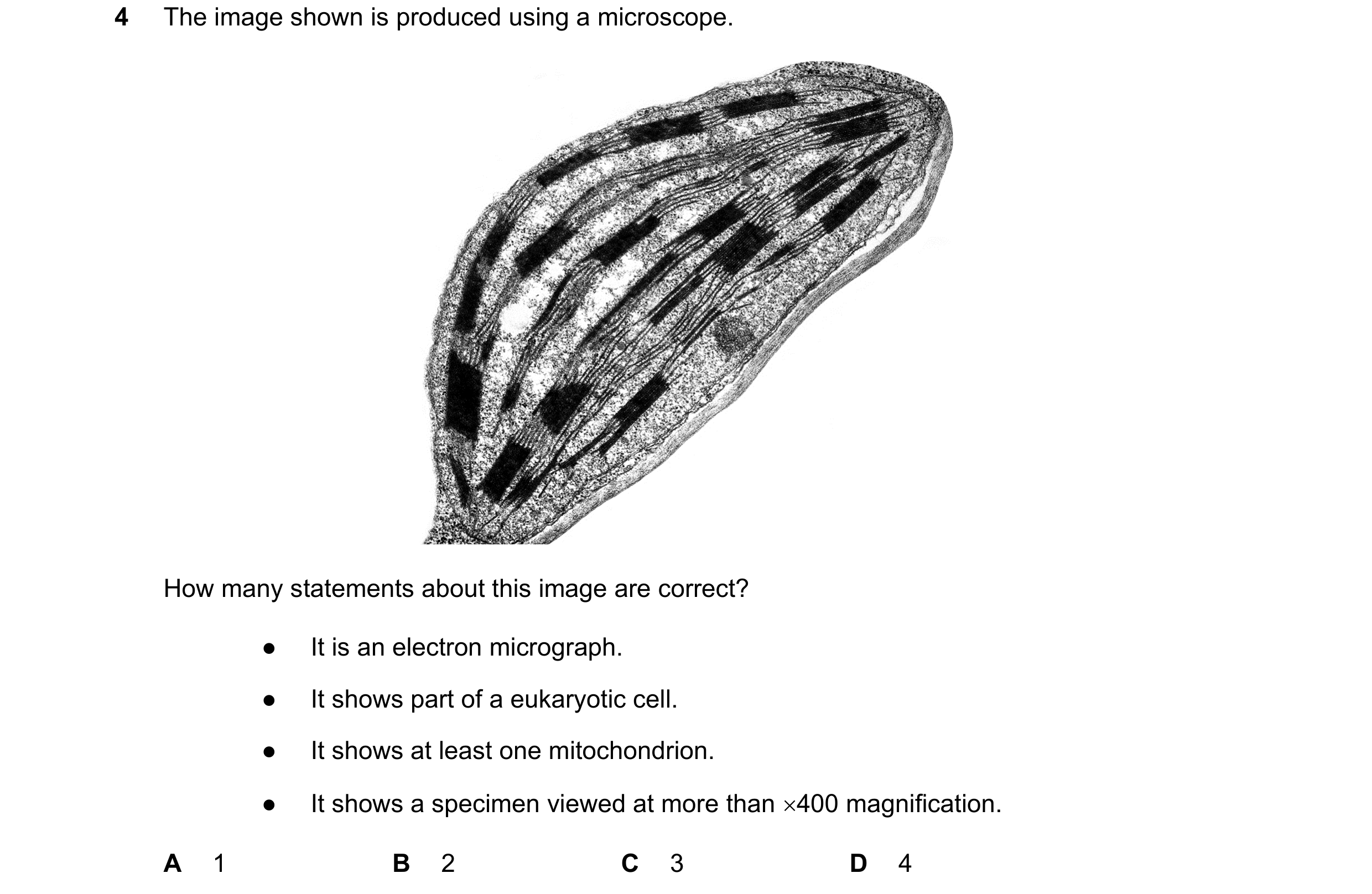 Question 390: The image shown is produced using a microscope. How many statements about this image are correct? ● It is an electron micrograph. ● It show…