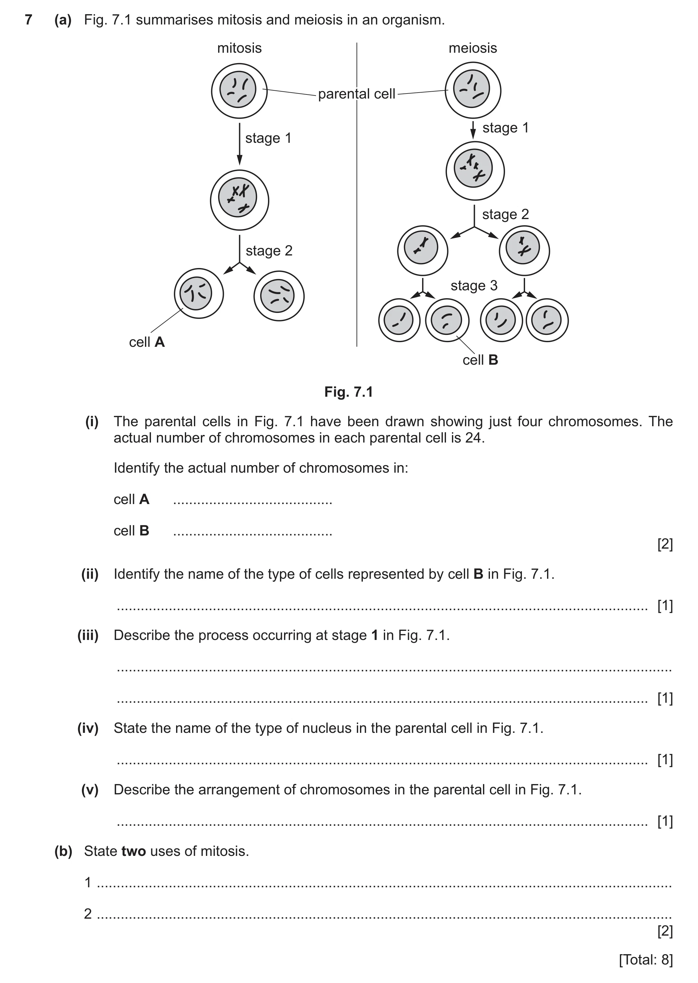 Question 11: (a) Fig. 7.1 summarises mitosis and meiosis in an organism. mitosis meiosis parentalparental cellcell stage 1 stage 1 stage 2 stage 2 stage…