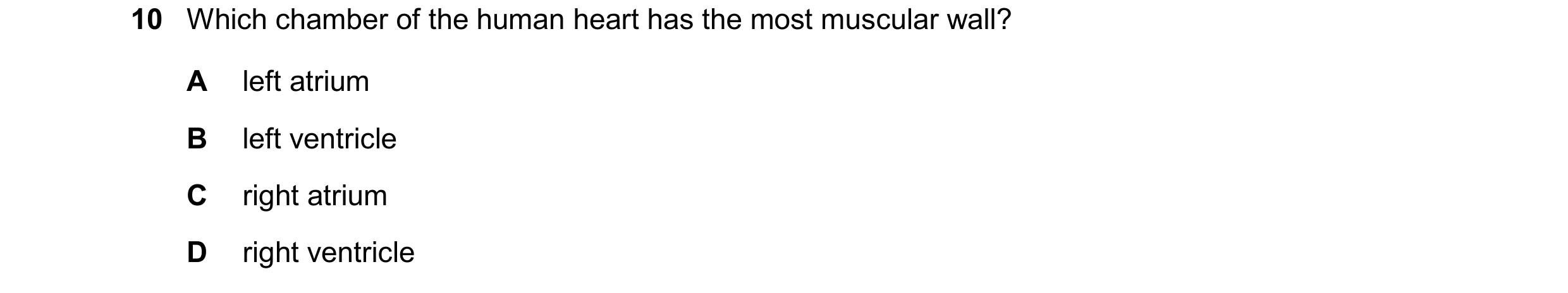 Question 19: Which chamber of the human heart has the most muscular wall? A left atrium B left ventricle C right atrium D right ventricle