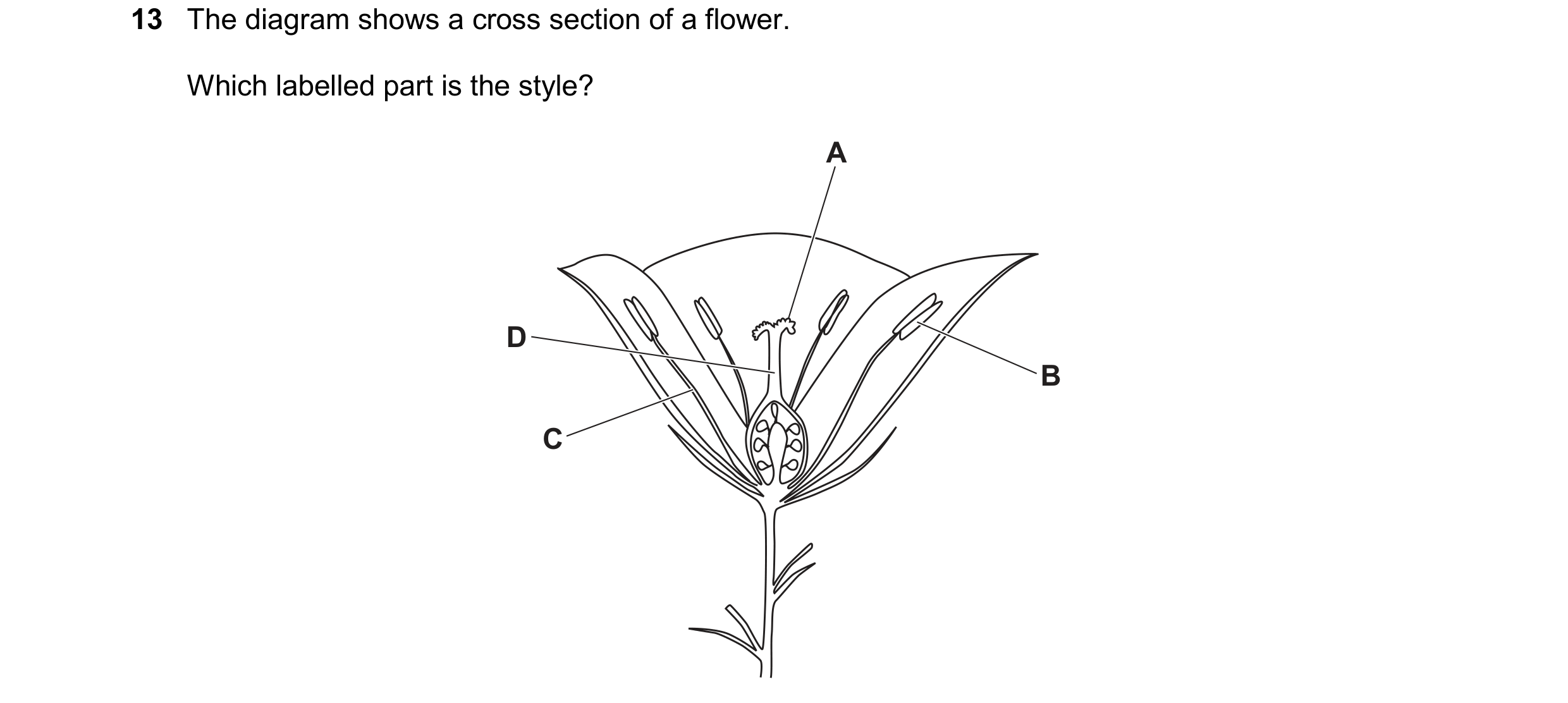 Question 48: The diagram shows a cross section of a flower. Which labelled part is the style? A D B C
