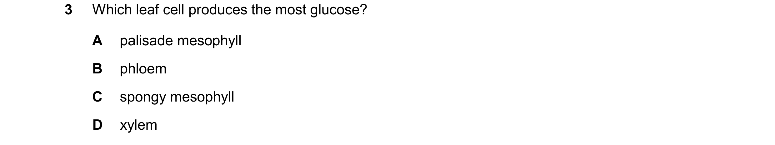 Question 73: Which leaf cell produces the most glucose? A palisade mesophyll B phloem C spongy mesophyll D xylem