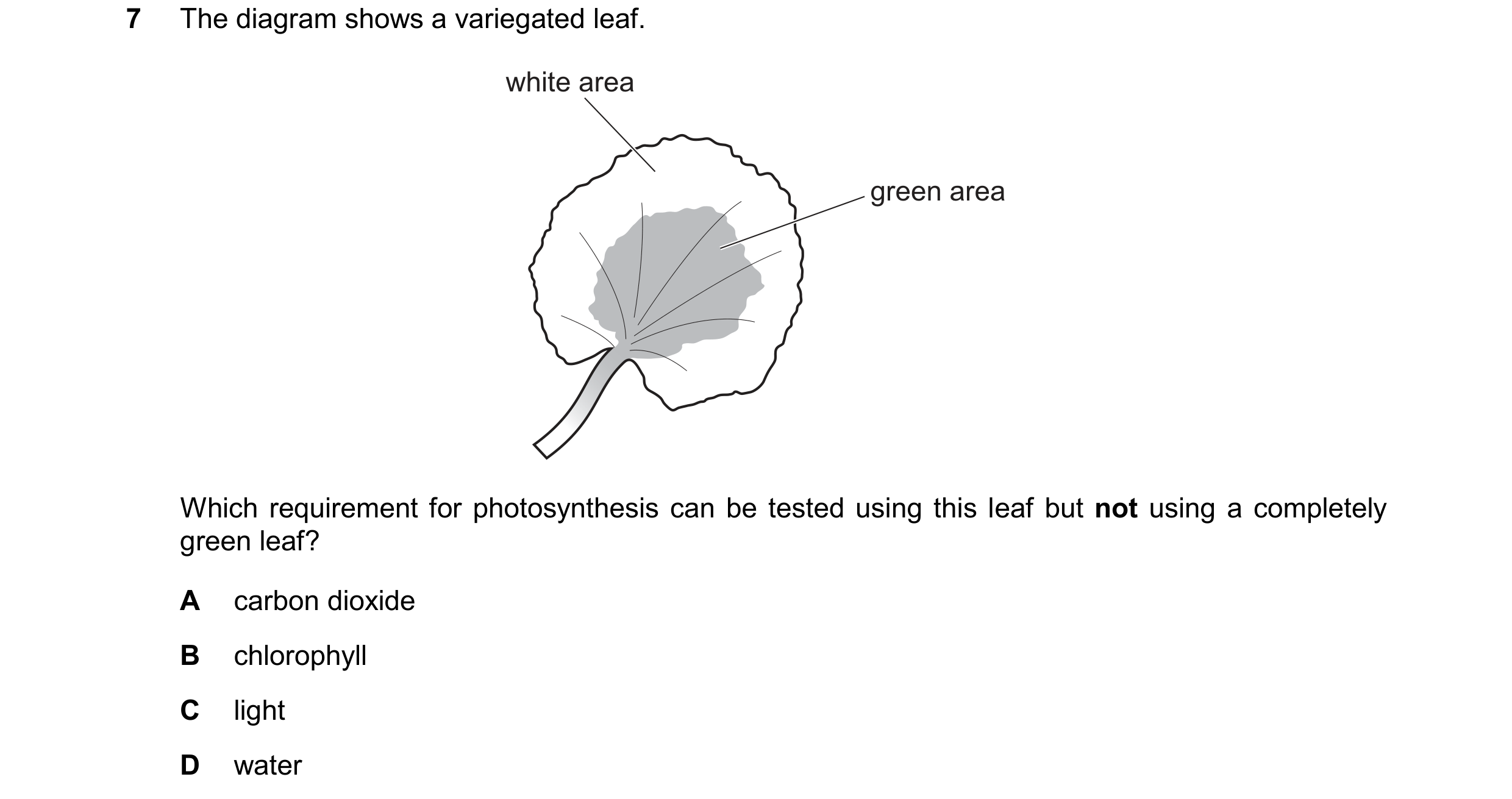 Question 74: The diagram shows a variegated leaf. white area green area Which requirement for photosynthesis can be tested using this leaf but not using…