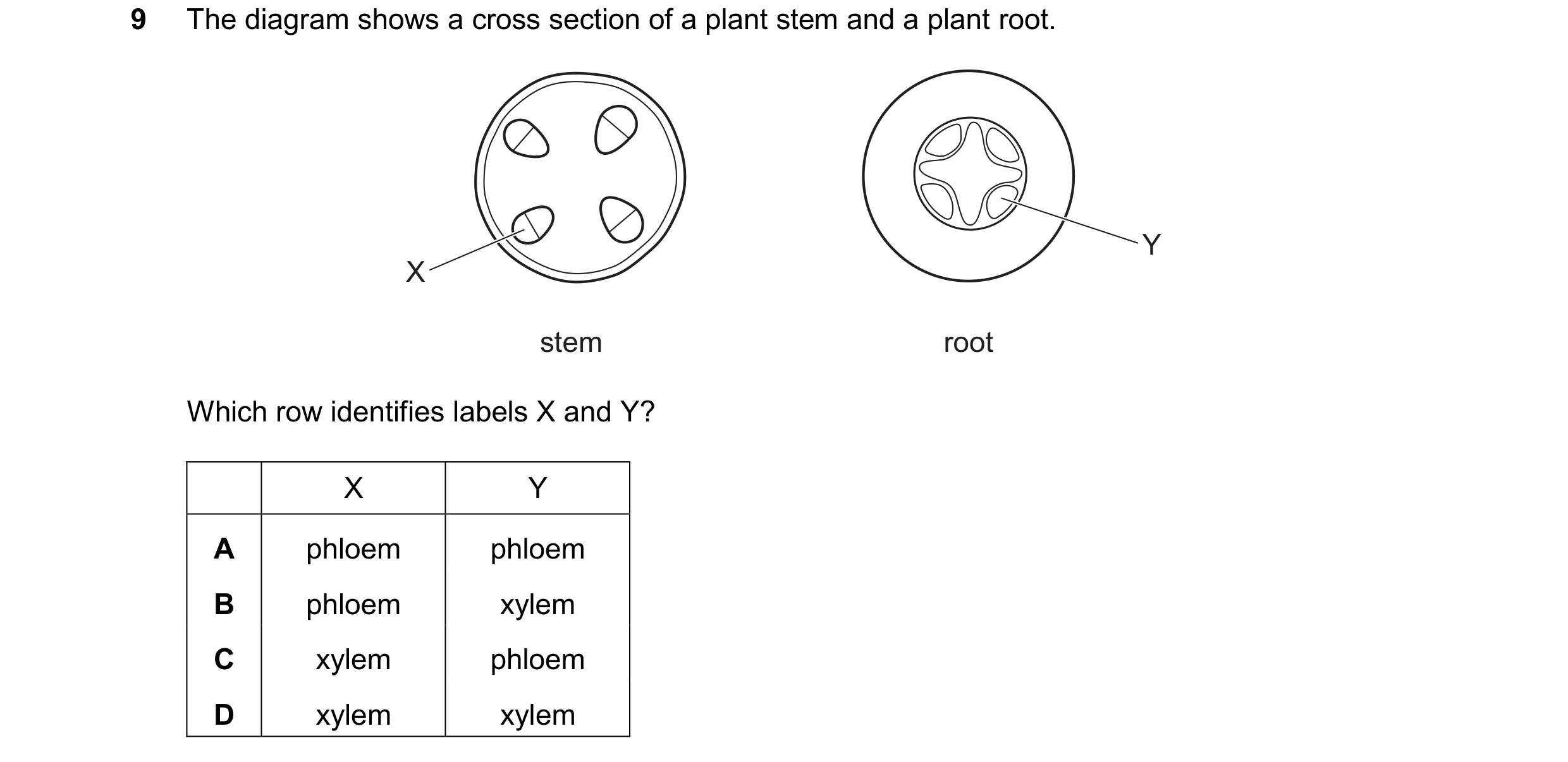 Question 21: The diagram shows a cross section of a plant stem and a plant root. Y X stem root Which row identifies labels X and Y? X Y A phloem phloem …