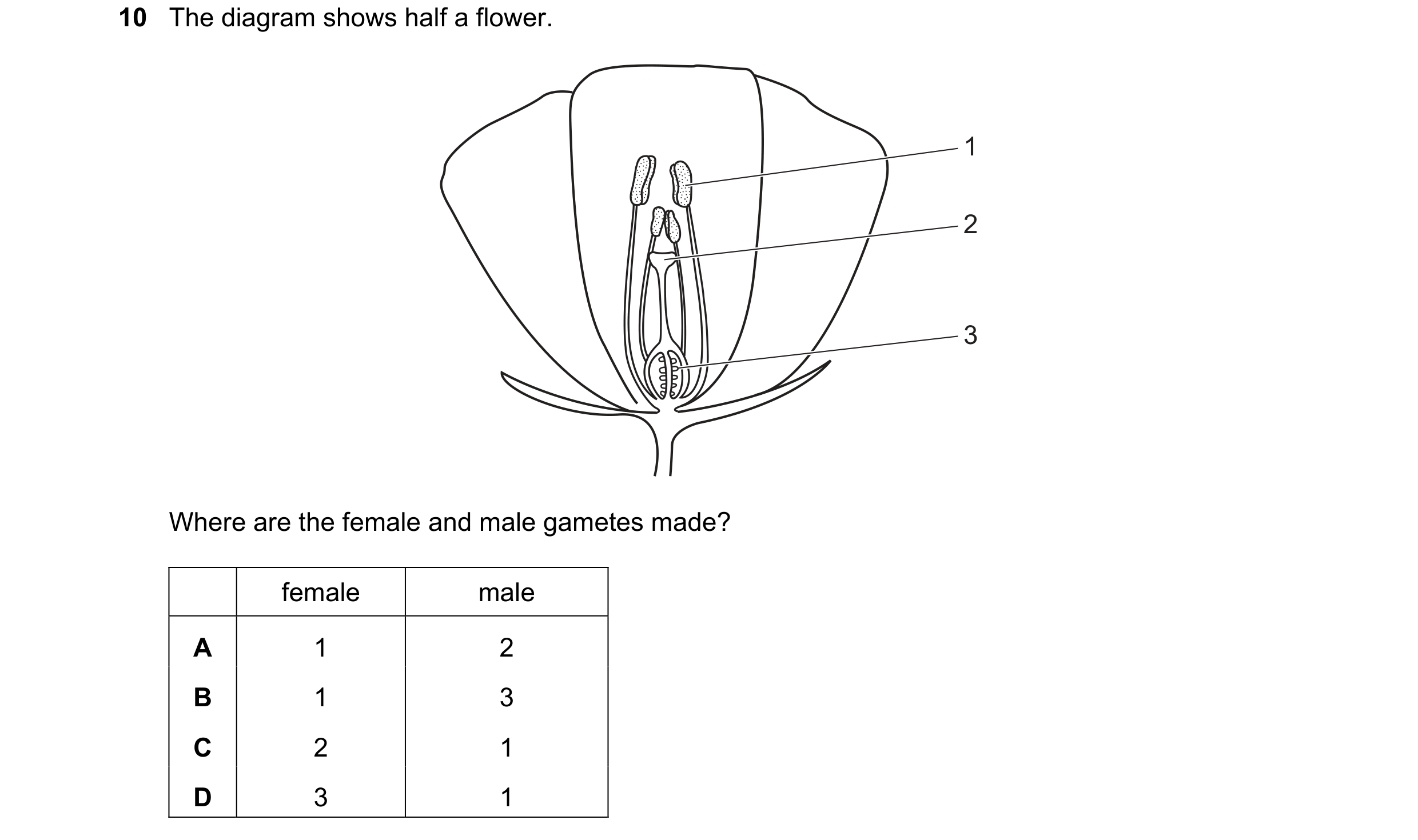 Question 75: The diagram shows half a flower. 1 2 3 Where are the female and male gametes made? female male A 1 2 B 1 3 C 2 1 D 3 1