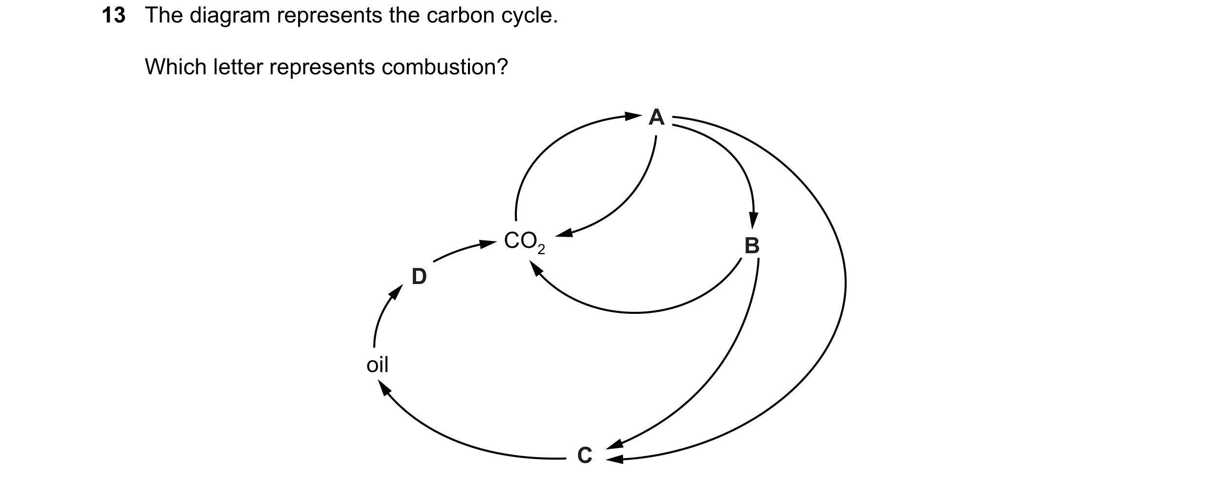 Question 24: The diagram represents the carbon cycle. Which letter represents combustion? A CO2 B D oil C