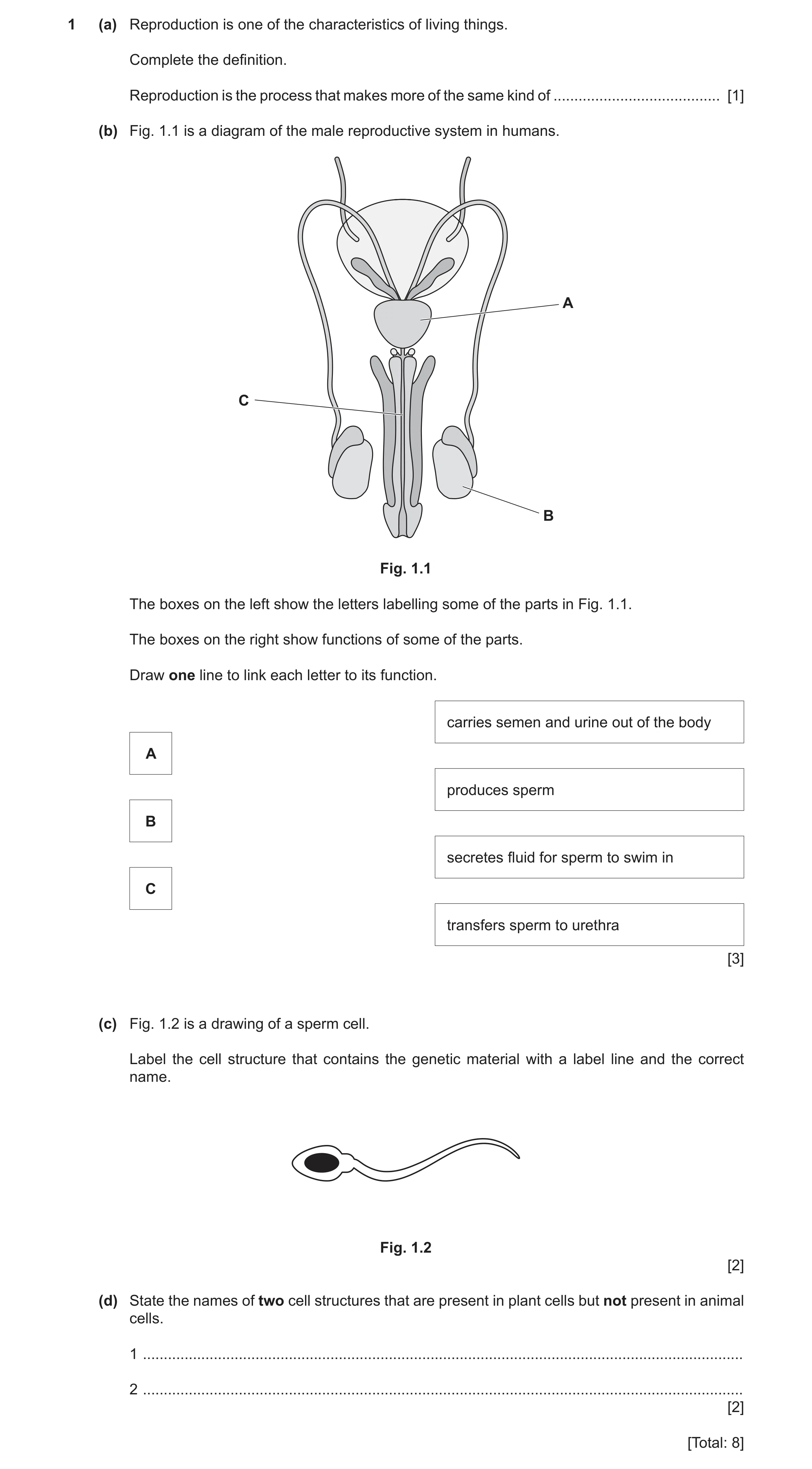 Question 20: (a) Reproduction is one of the characteristics of living things. Complete the definition. Reproduction is the process that makes more of th…