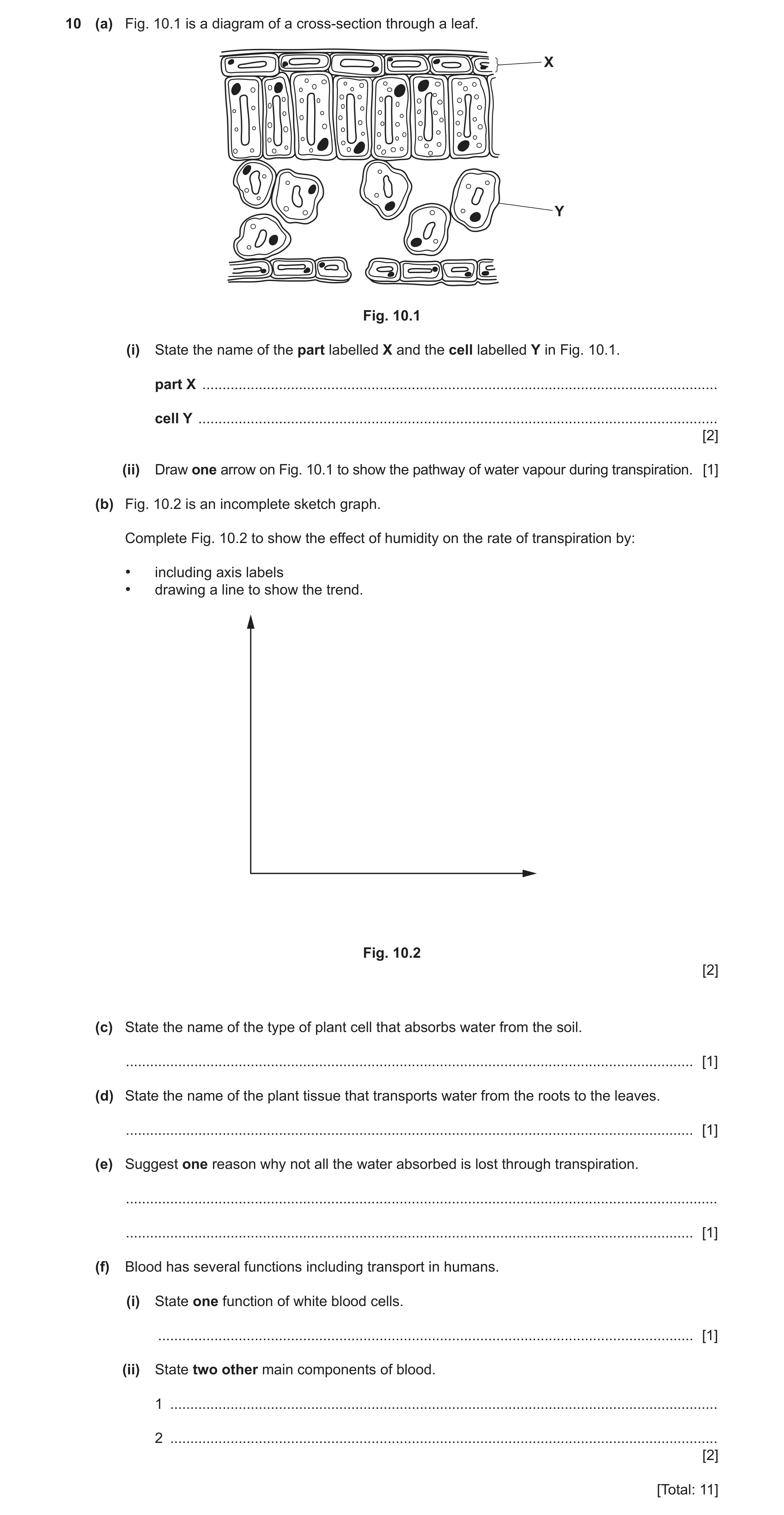 Question 12: (a) Fig. 10.1 is a diagram of a cross-section through a leaf. X Y Fig. 10.1 (i) State the name of the part labelled X and the cell labelled…