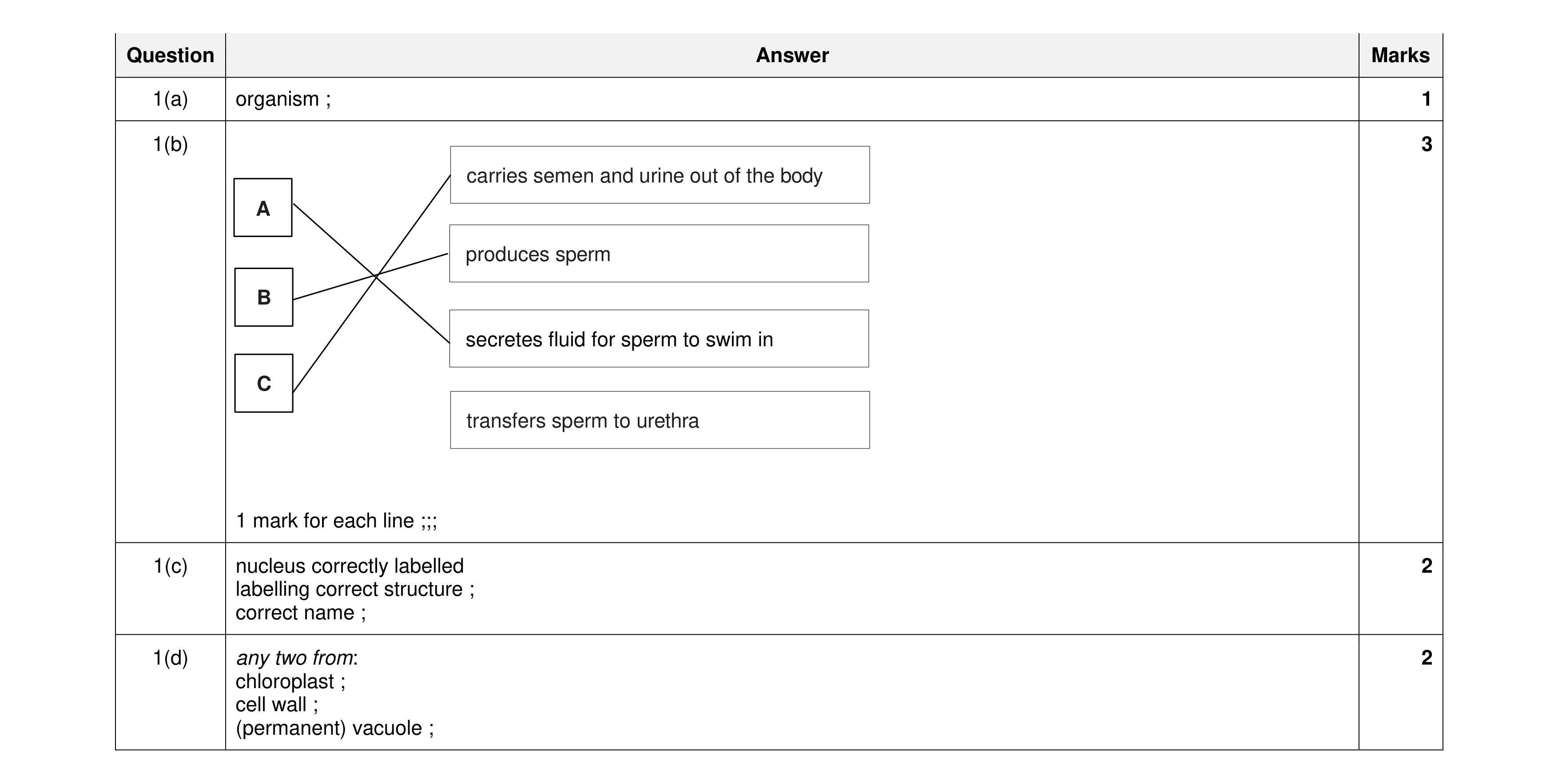 Mark scheme for question 20