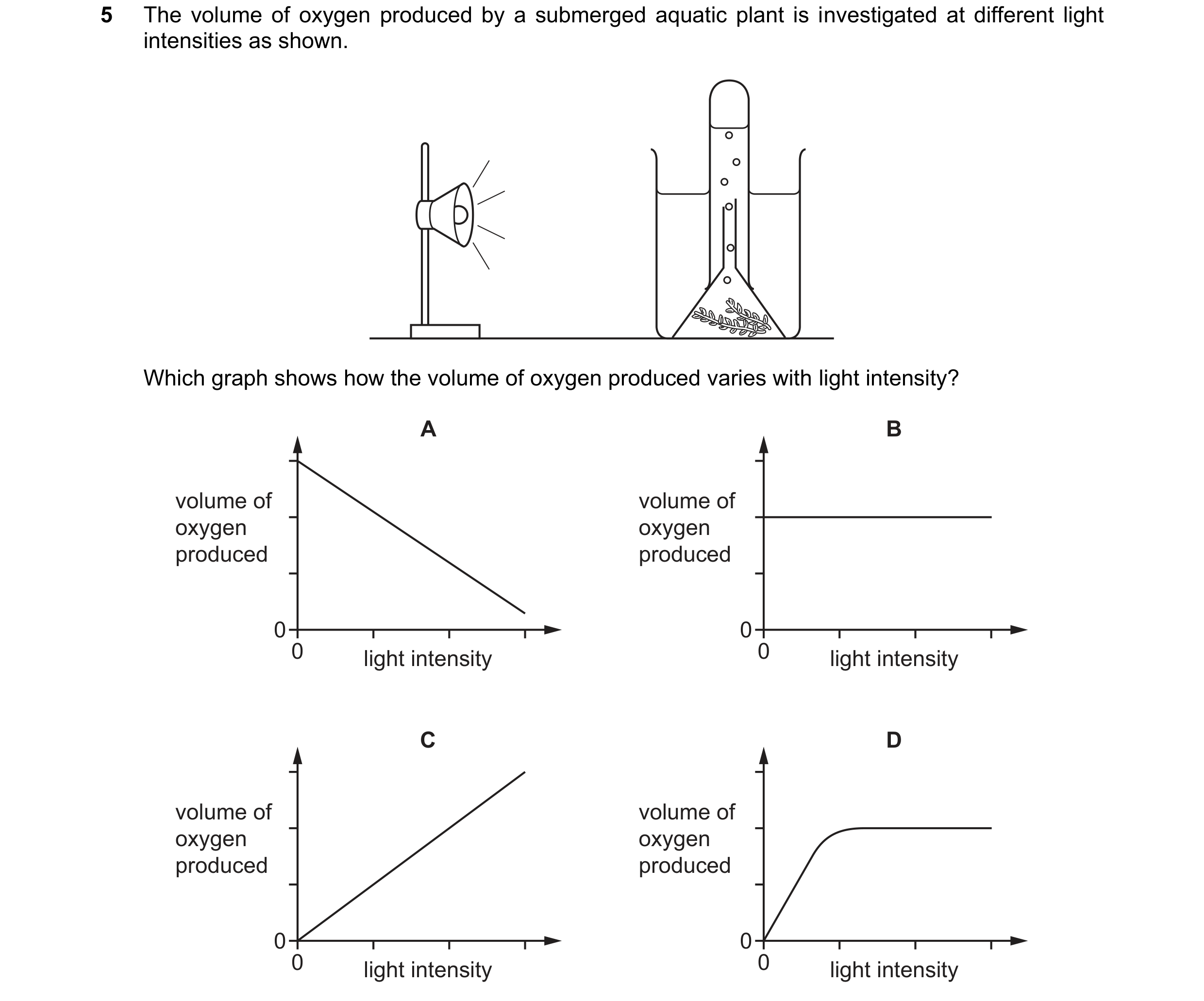 Question 33: The volume of oxygen produced by a submerged aquatic plant is investigated at different light intensities as shown. Which graph shows how t…