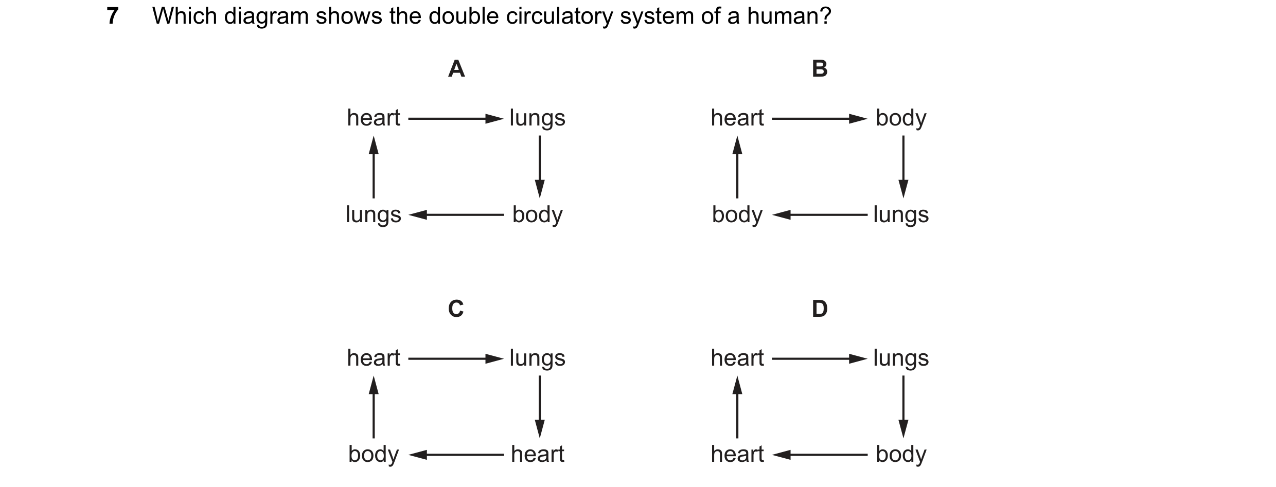 Question 5: Which diagram shows the double circulatory system of a human? A B heart lungs heart body lungs body body lungs C D heart lungs heart lungs …