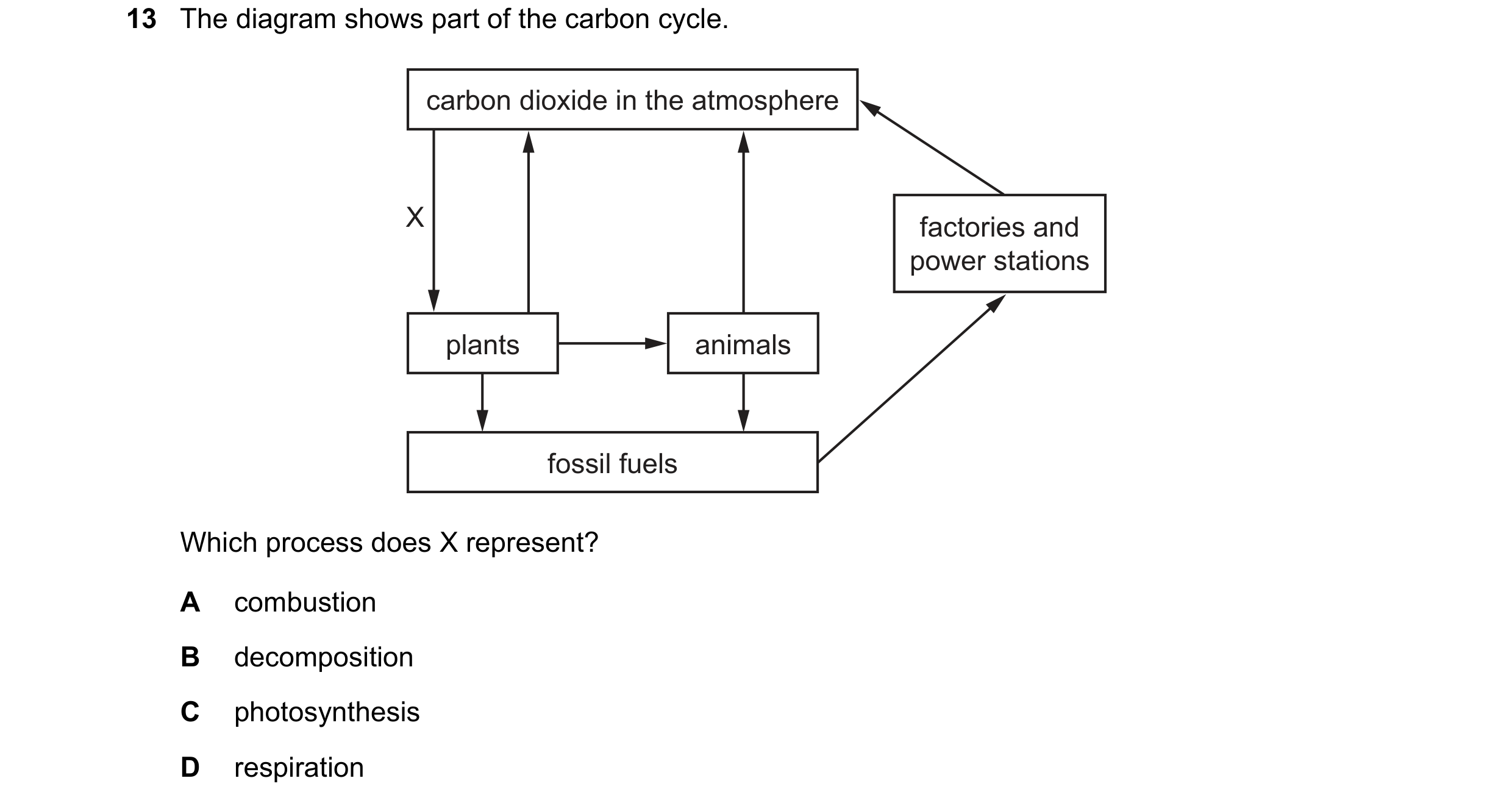 Question 57: The diagram shows part of the carbon cycle. carbon dioxide in the atmosphere X factories and power stations plants animals fossil fuels Whi…