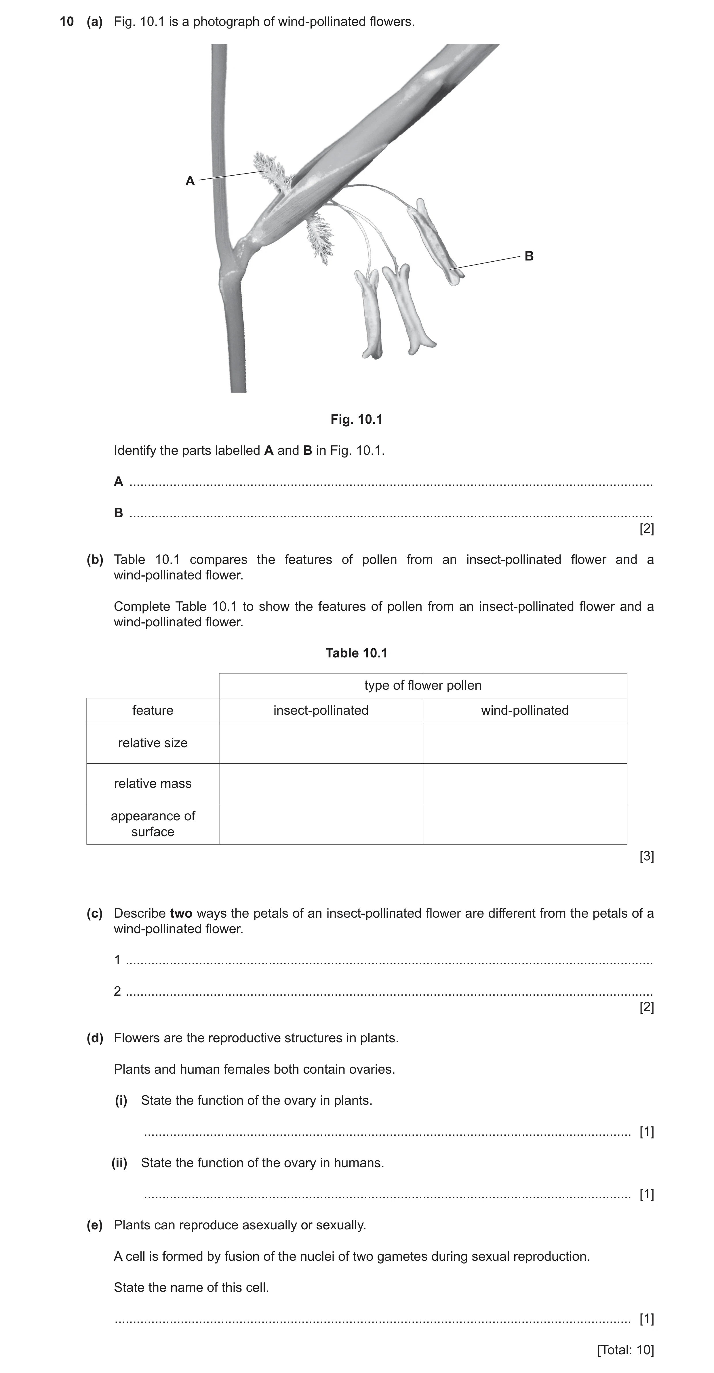 Question 6: (a) Fig. 10.1 is a photograph of wind‑pollinated flowers. A B Fig. 10.1 Identify the parts labelled A and B in Fig. 10.1. A ...............…
