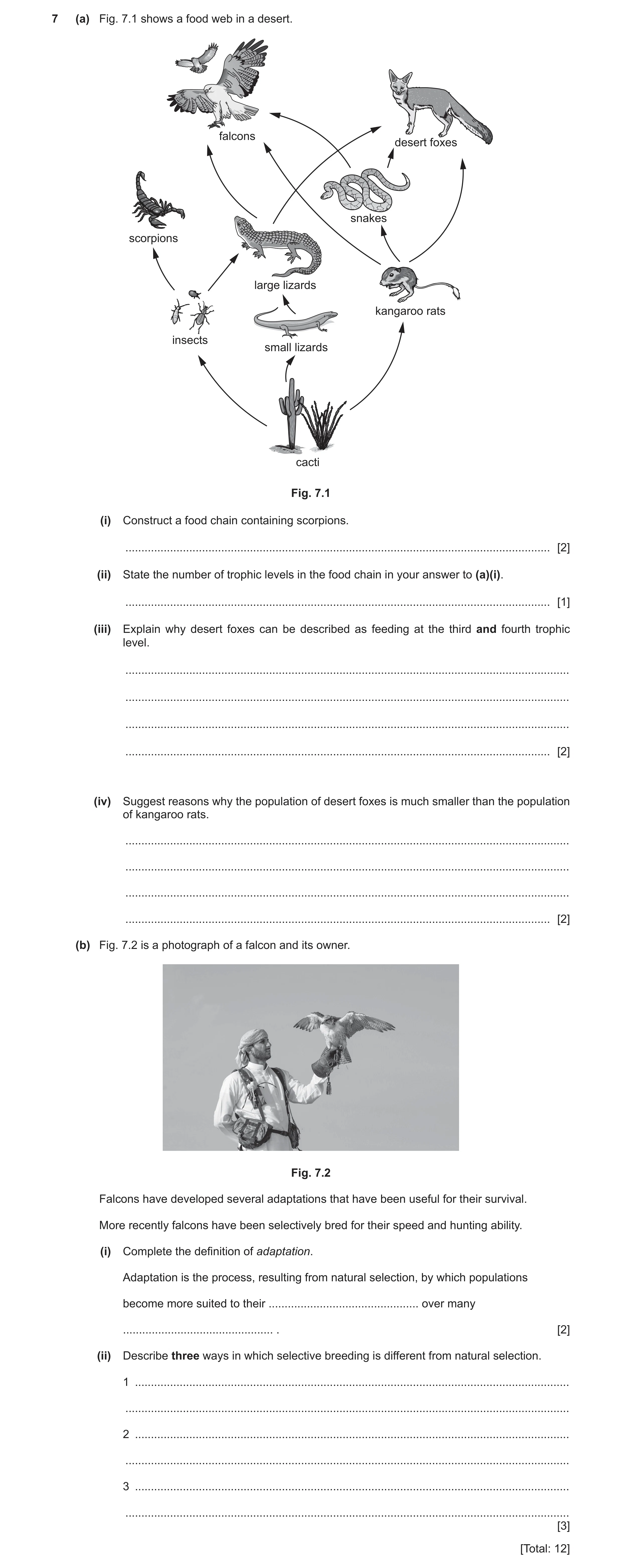 Question 3: (a) Fig. 7.1 shows a food web in a desert. falcons desert foxes snakes scorpions large lizards kangaroo rats insects small lizards cacti Fi…
