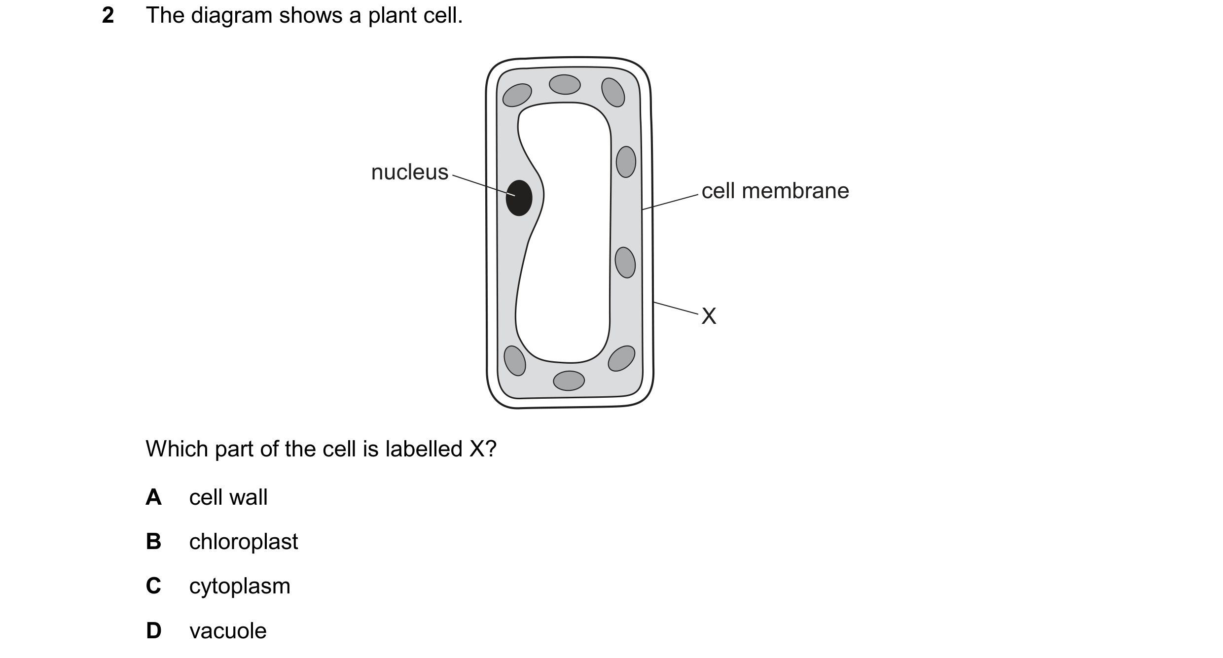 Question 86: The diagram shows a plant cell. nucleus cell membrane X Which part of the cell is labelled X? A cell wall B chloroplast C cytoplasm D vacuo…