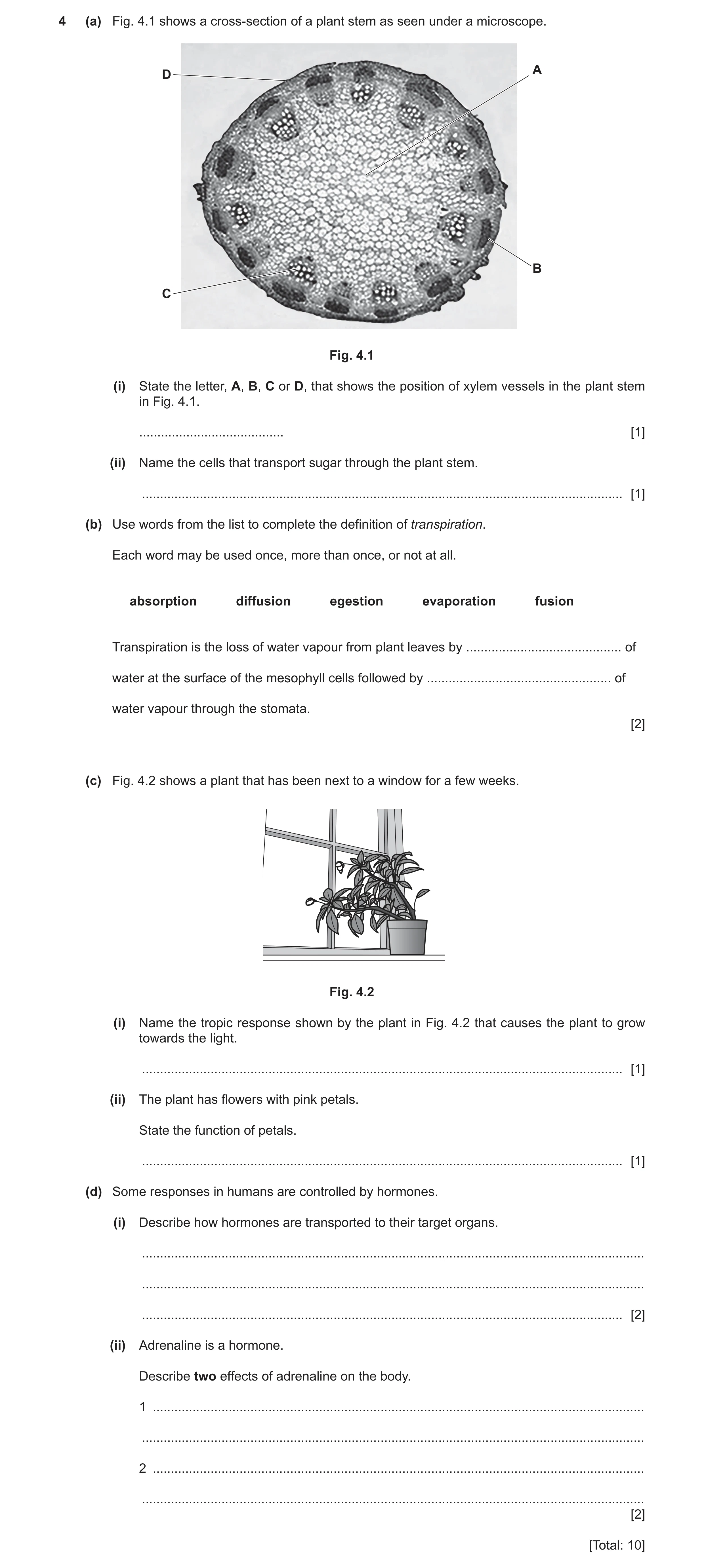 Question 9: (a) Fig. 4.1 shows a cross-section of a plant stem as seen under a microscope. A D B C Fig. 4.1 (i) State the letter, A, B, C or D, that sh…