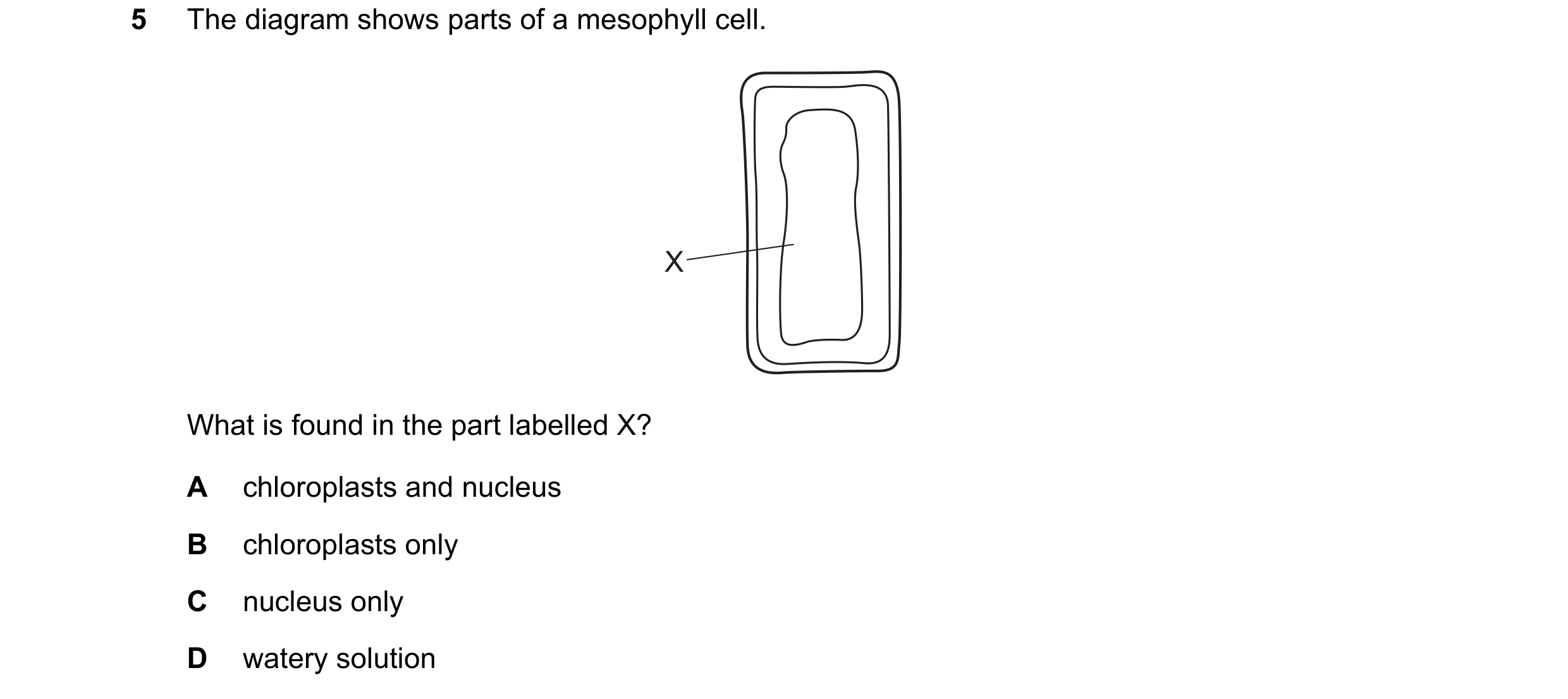 Question 38: The diagram shows parts of a mesophyll cell. X What is found in the part labelled X? A chloroplasts and nucleus B chloroplasts only C nucle…