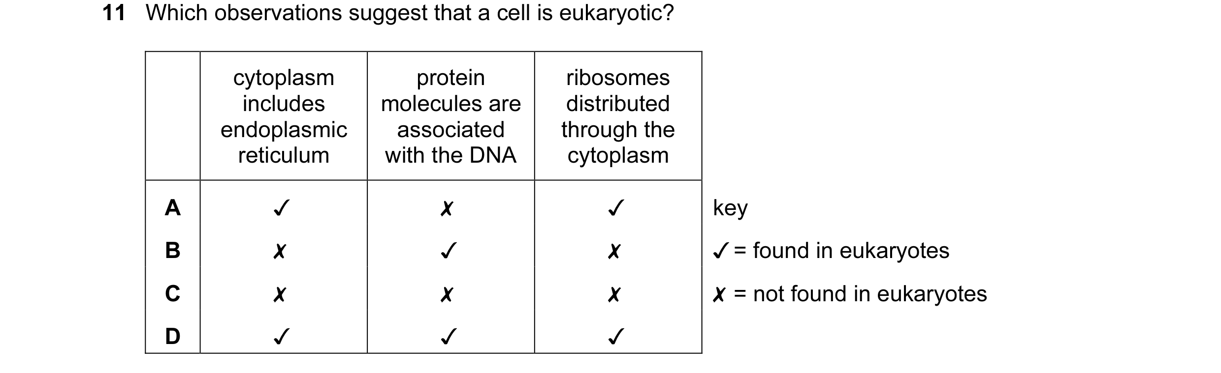 Question 31: Which observations suggest that a cell is eukaryotic?

0 Oo WwW >

cytoplasm
includes
endoplasmic
reticulum

v

x
x
v

protein
molecules ar…