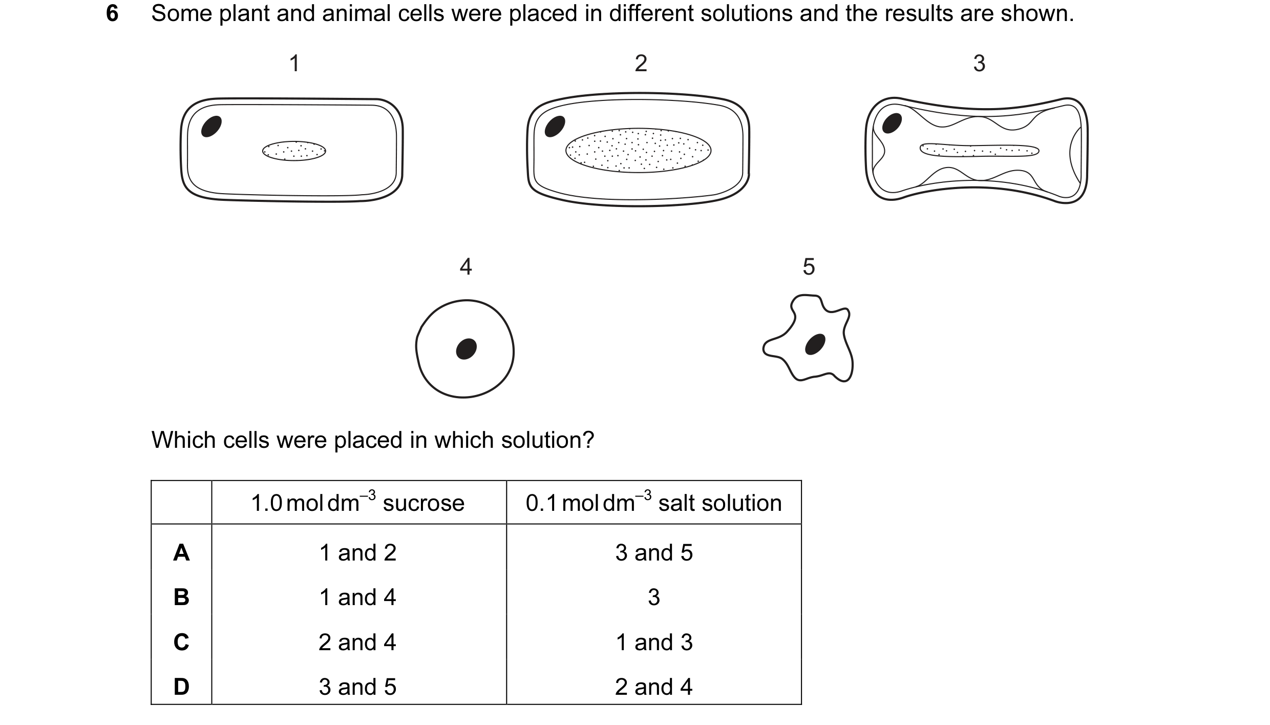 Question 27: Some plant and animal cells were placed in different solutions and the results are shown. 1 2 3 4 5 Which cells were placed in which soluti…