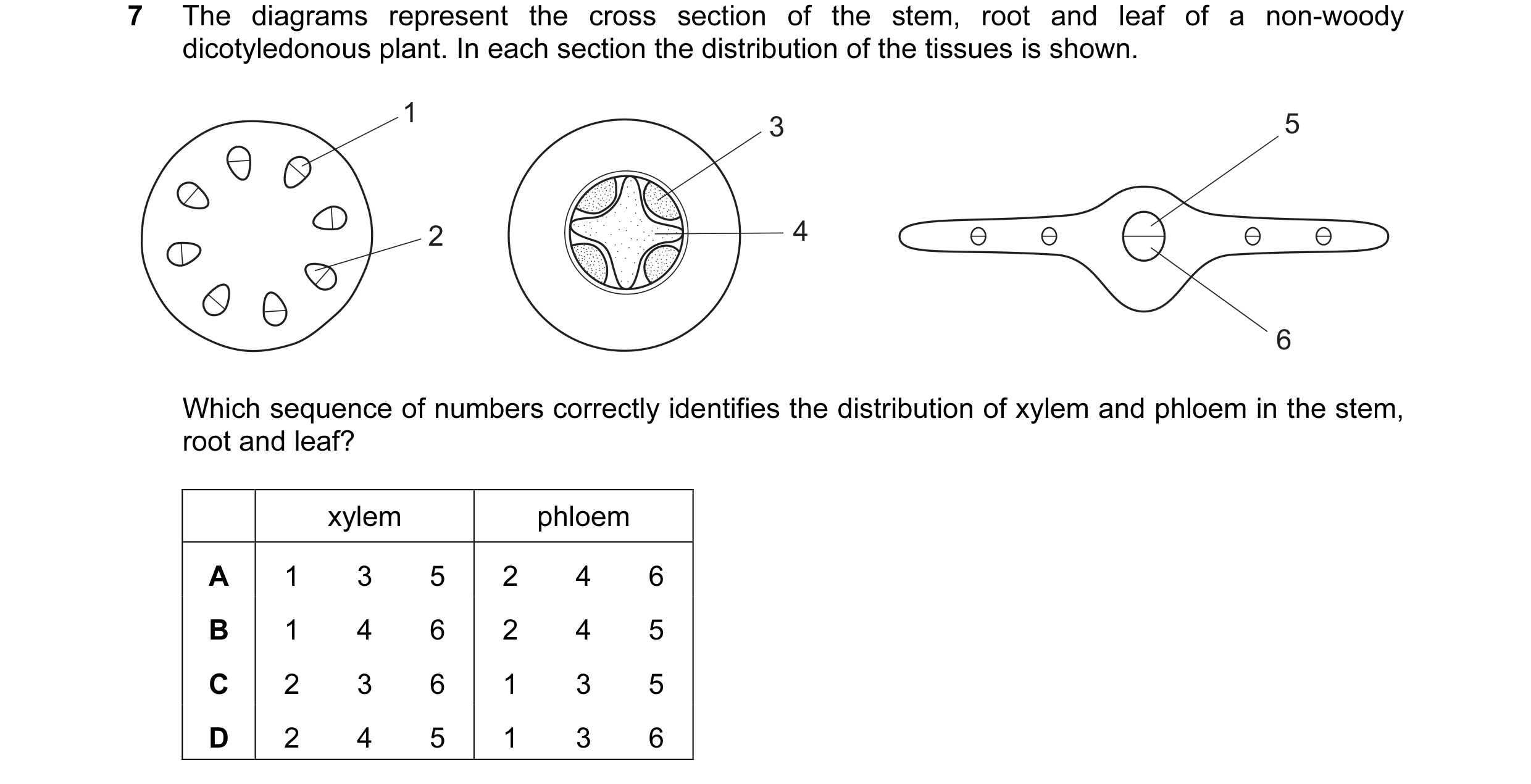 Question 13: The diagrams represent the cross section of the stem, root and leaf of a non-woody dicotyledonous plant. In each section the distribution o…