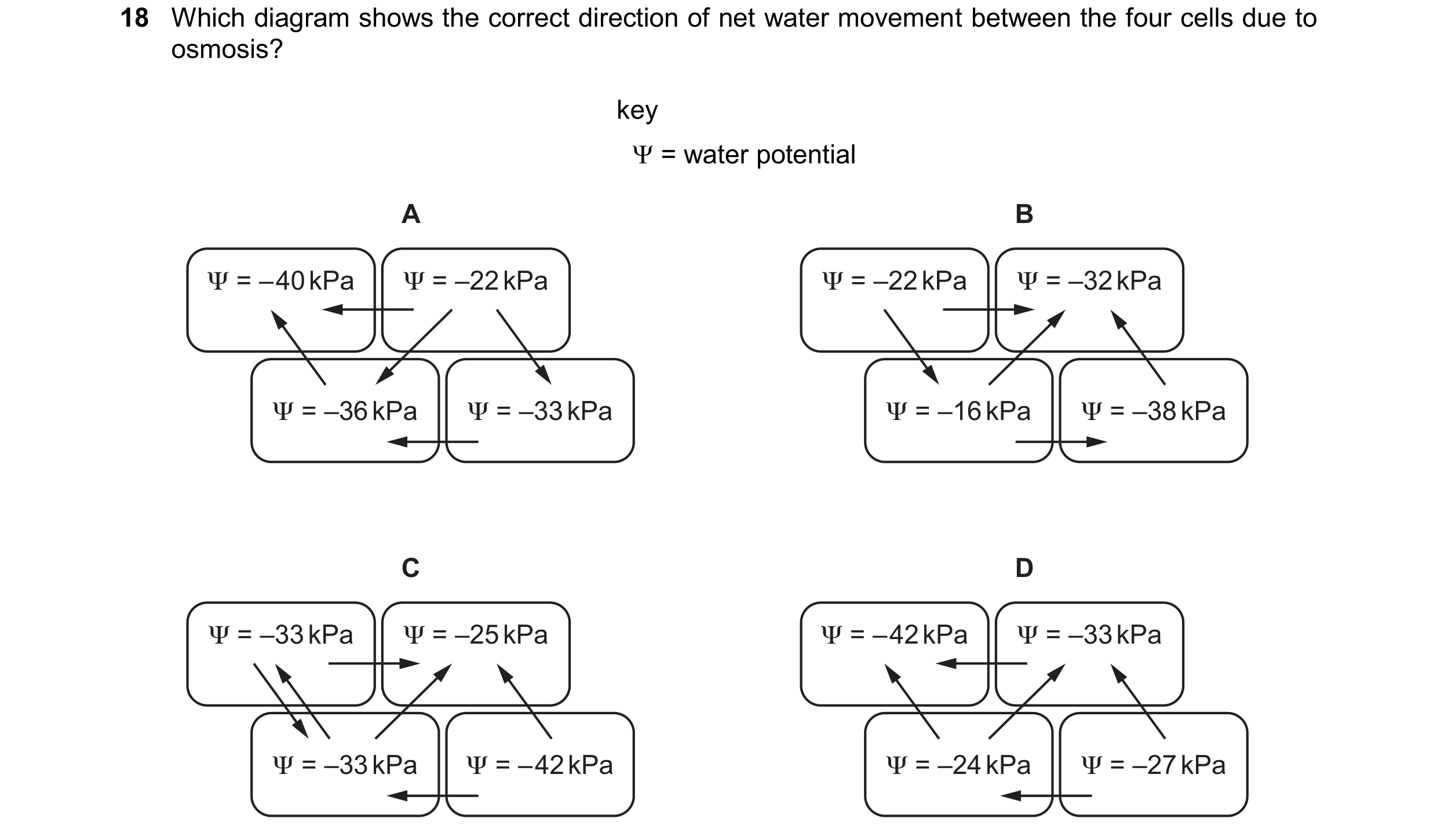 Question 237: Which diagram shows the correct direction of net water movement between the four cells due to osmosis? key  = water potential A B Ψ = – 40…