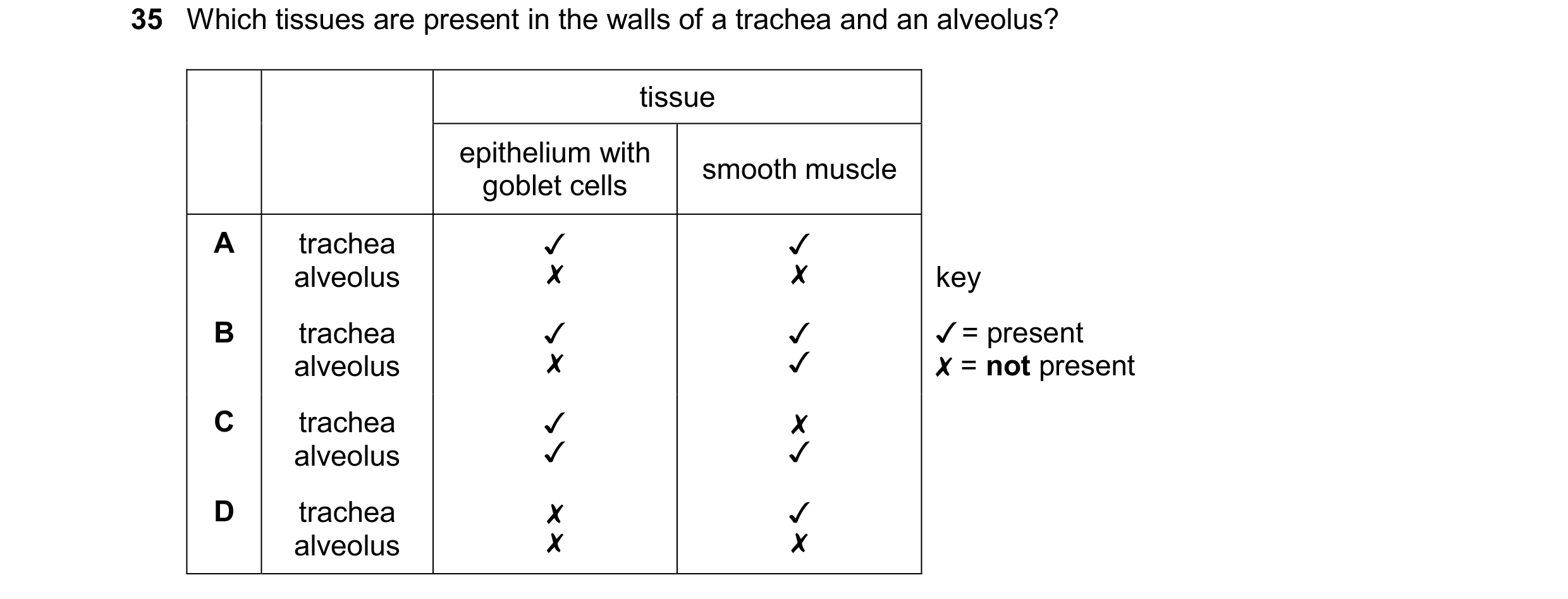 Question 253: Which tissues are present in the walls of a trachea and an alveolus?
tissue
epithelium with
smooth muscle
goblet cells
A trachea v J
al…