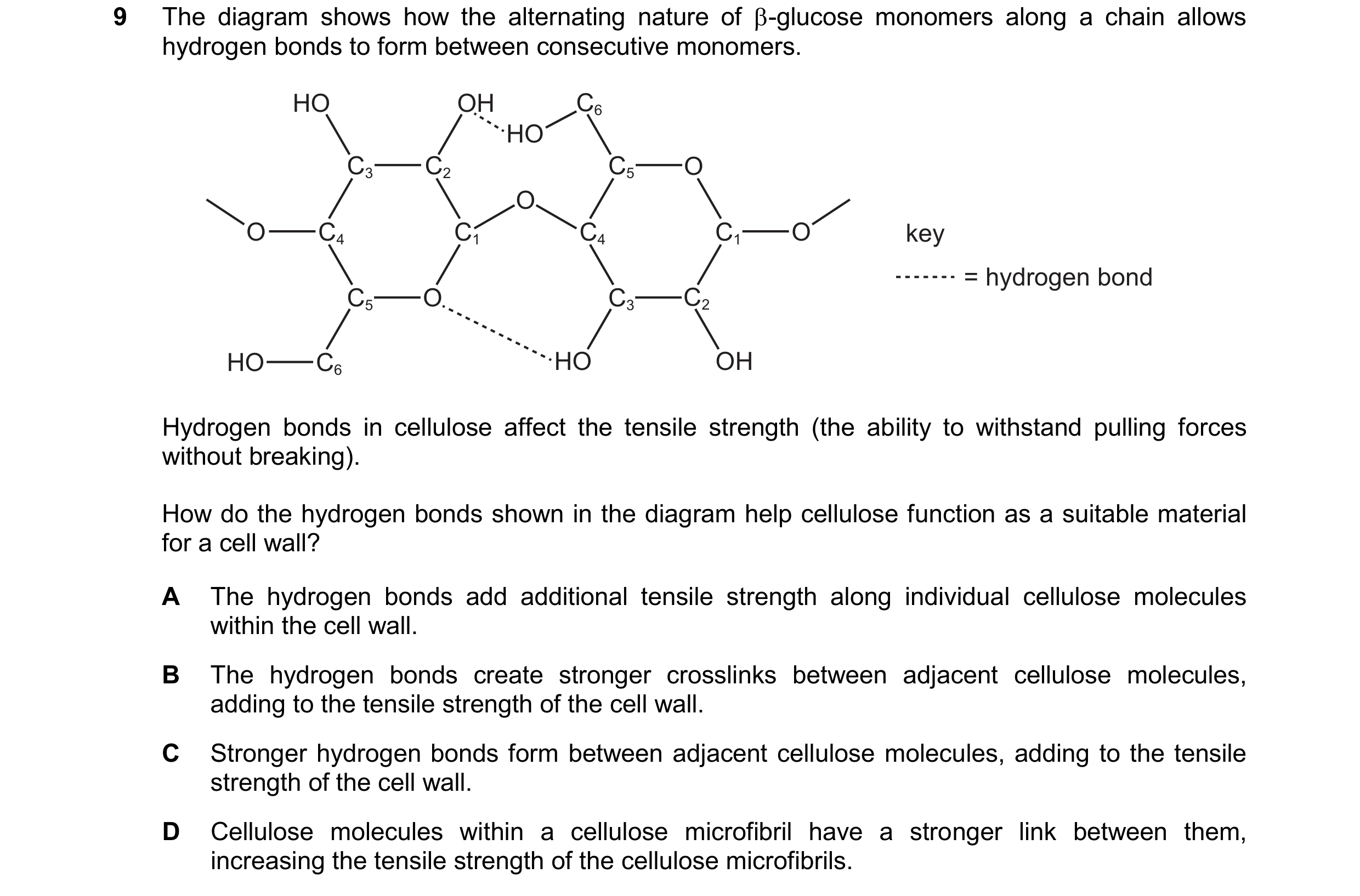 Question 330: The diagram shows how the alternating nature of -glucose monomers along a chain allows hydrogen bonds to form between consecutive monomers…