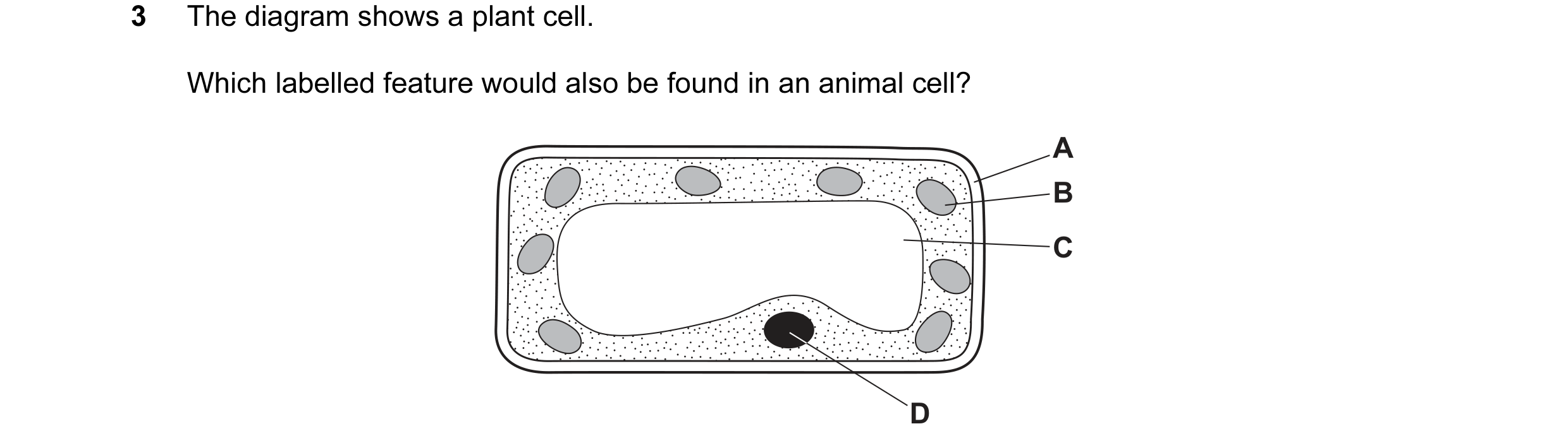 Question 30: The diagram shows a plant cell. Which labelled feature would also be found in an animal cell? A B C D