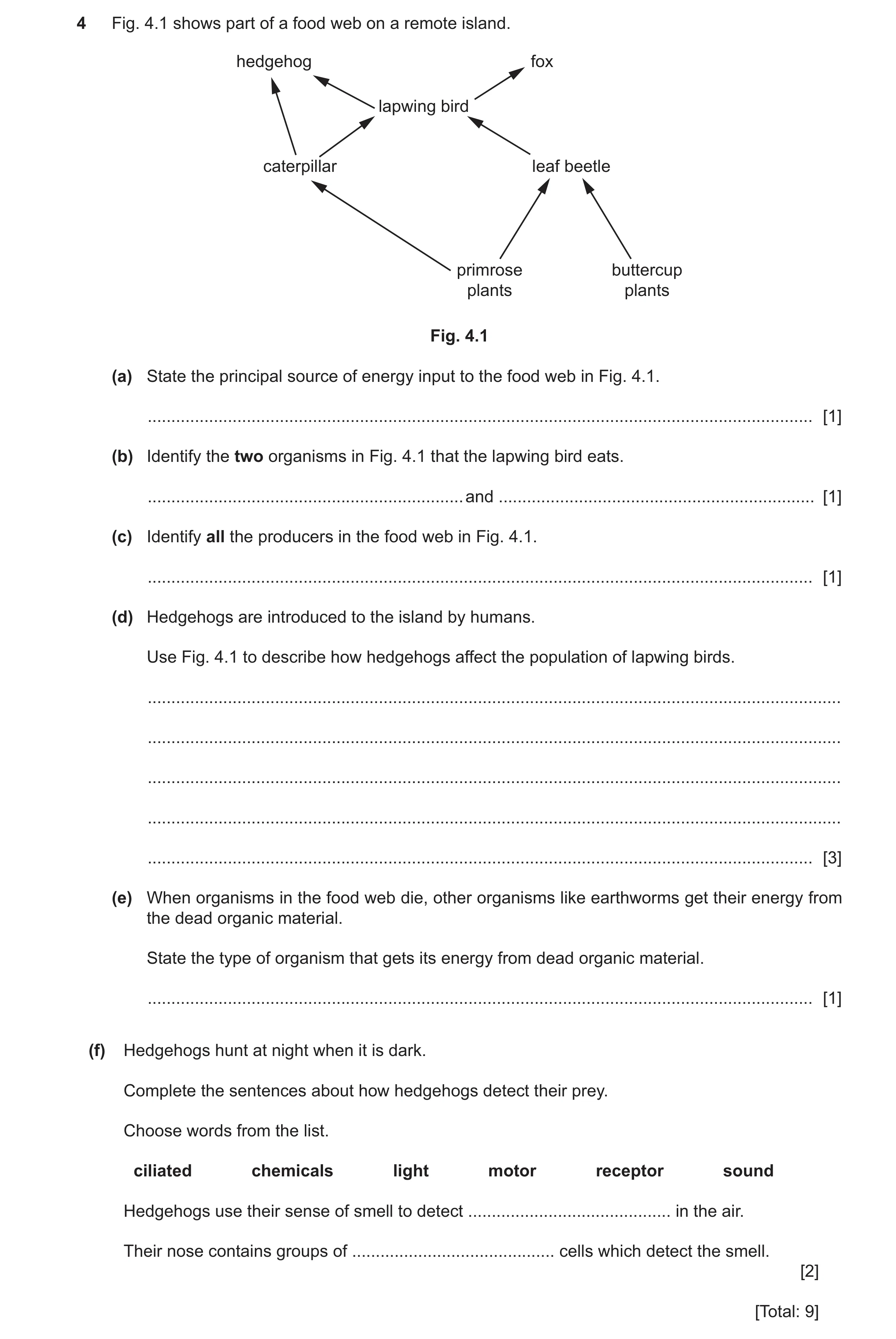 Question 18: Fig. 4.1 shows part of a food web on a remote island. hedgehog fox lapwing bird caterpillar leaf beetle primrose buttercup plants plants Fi…
