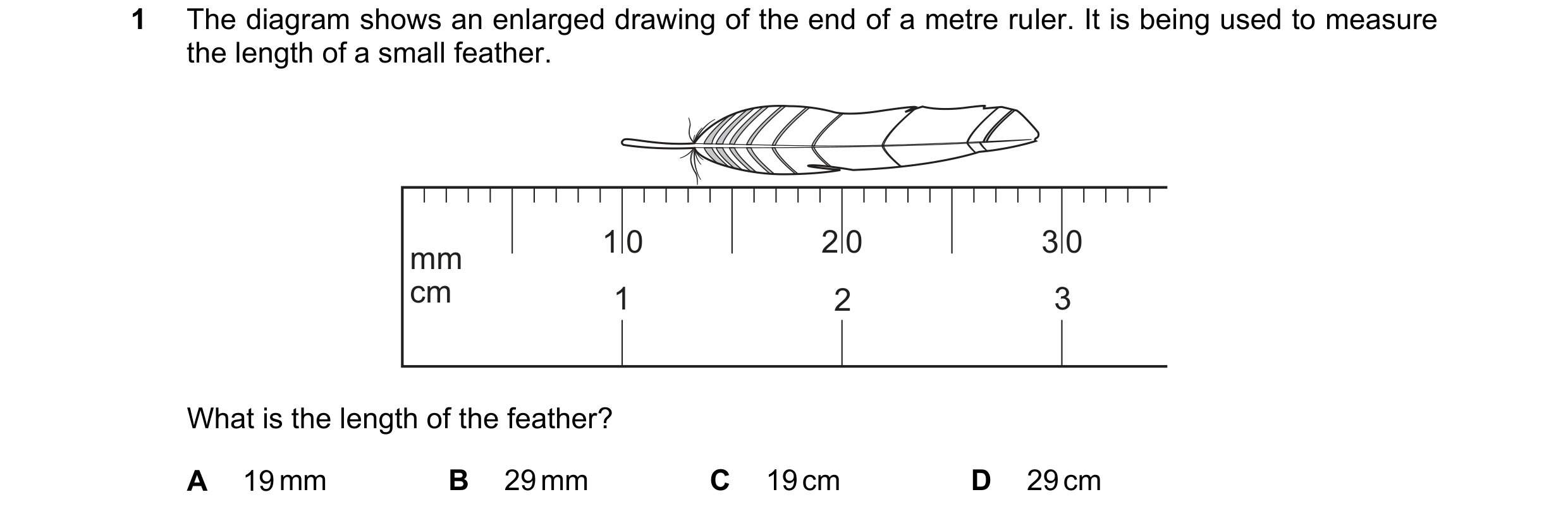 Question 30: The diagram shows an enlarged drawing of the end of a metre ruler. It is being used to measure the length of a small feather. 1 0 2 0 3 0 m…