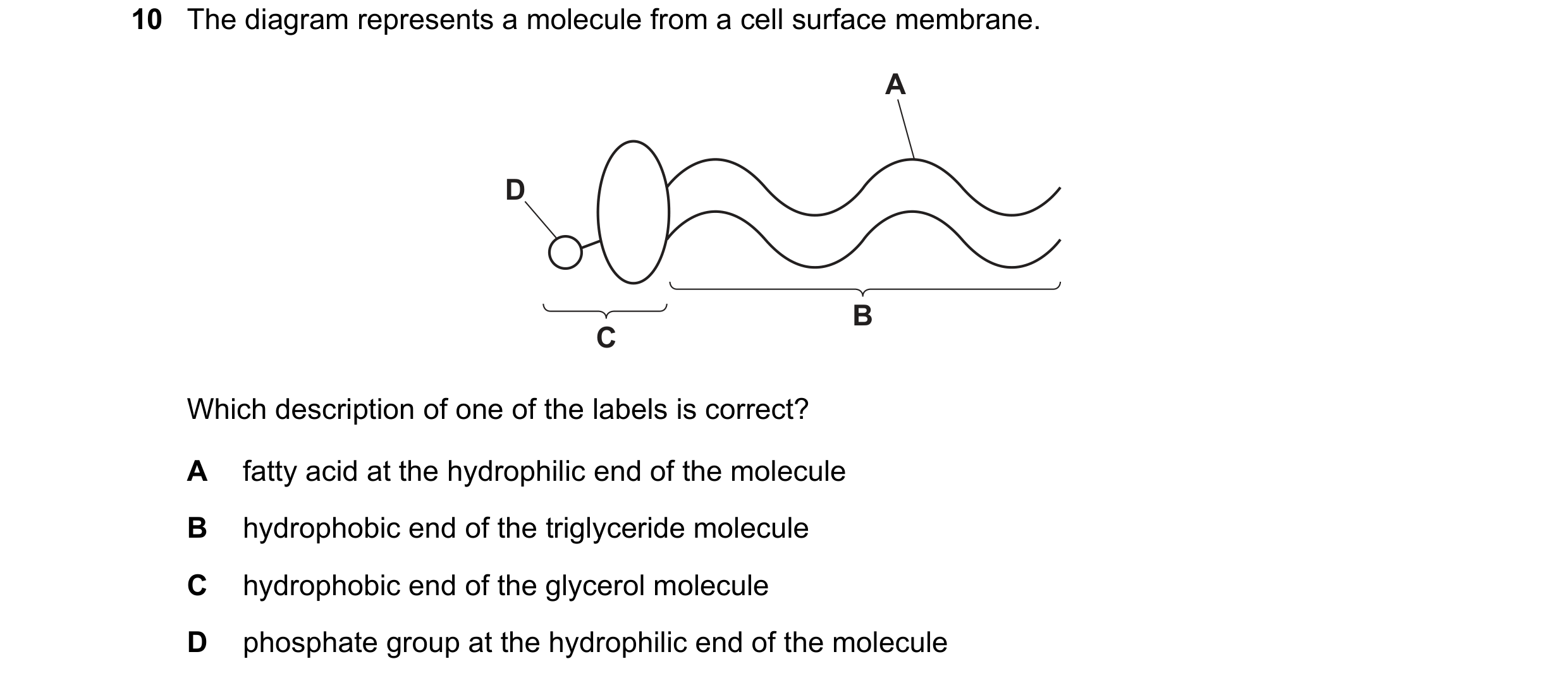 Question 123: The diagram represents a molecule from a cell surface membrane. A D B C Which description of one of the labels is correct? A fatty acid at …