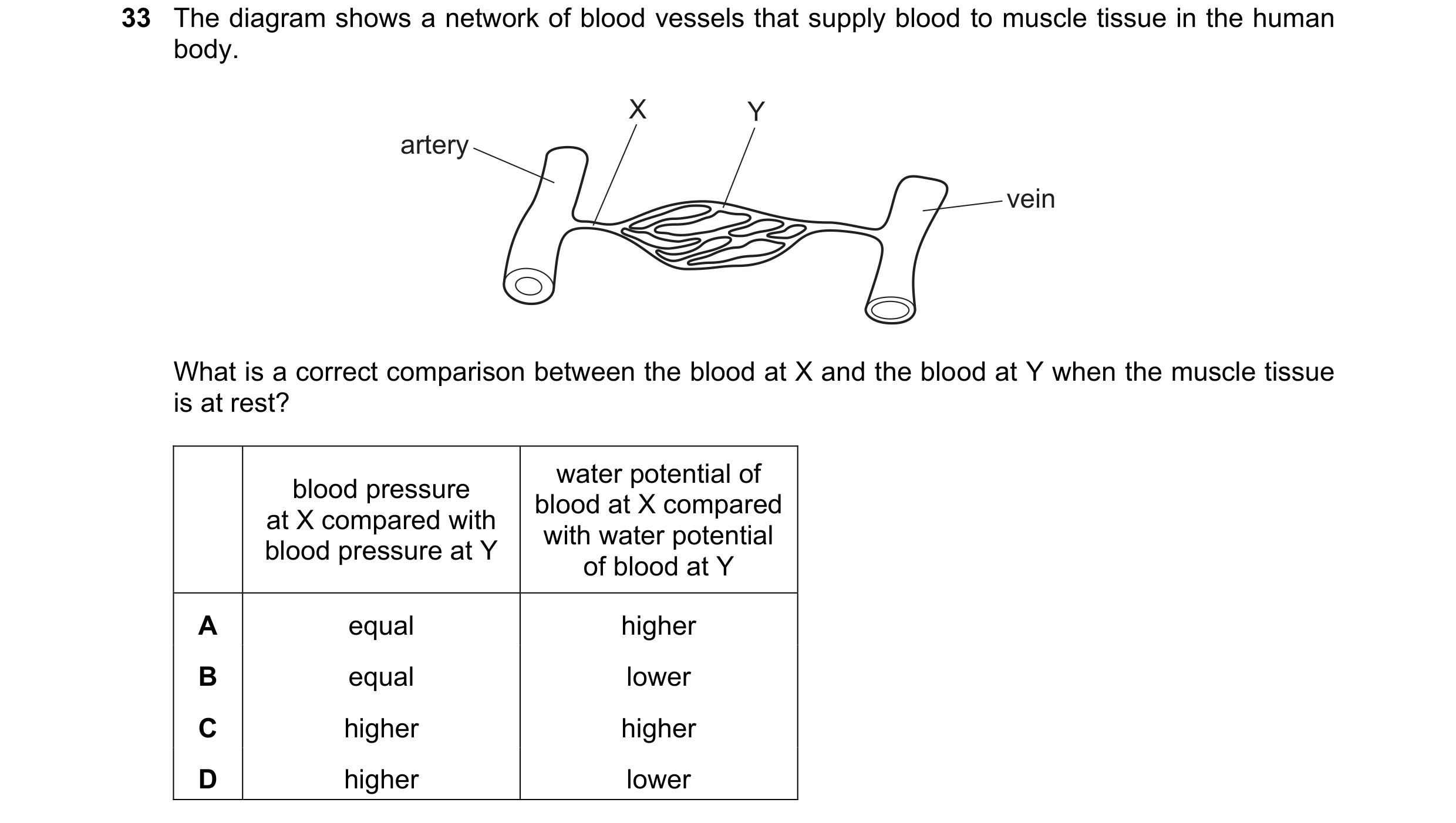 Question 134: The diagram shows a network of blood vessels that supply blood to muscle tissue in the human body. X Y artery vein What is a correct compar…