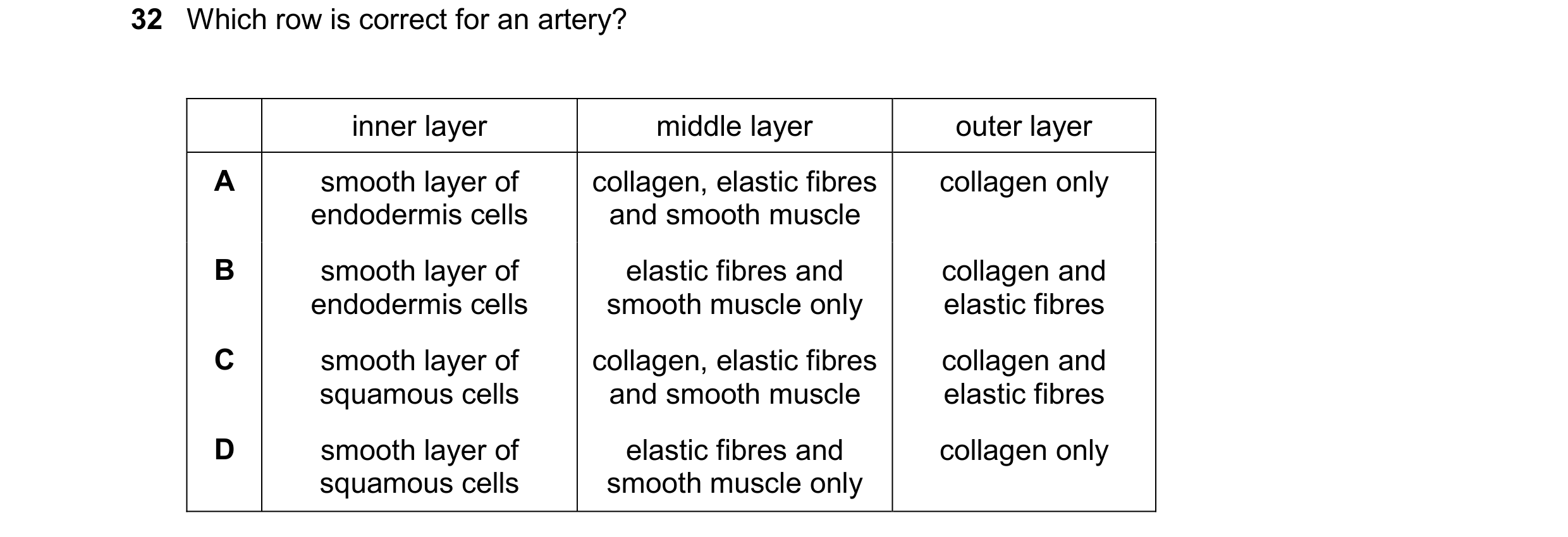 Question 151: Which row is correct for an artery? inner layer middle layer outer layer A smooth layer of collagen, elastic fibres collagen only endodermi…