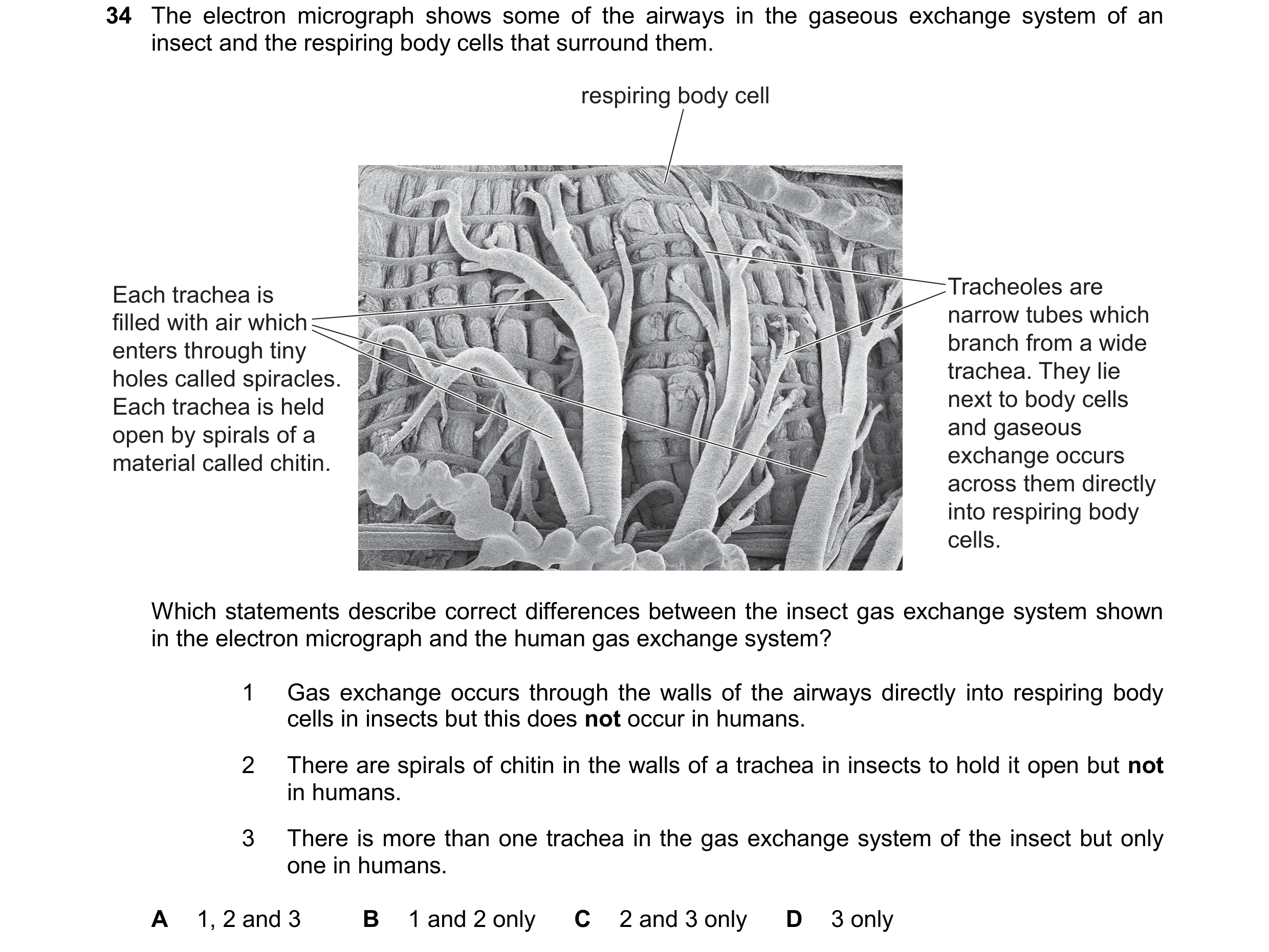 Question 256: The electron micrograph shows some of the airways in the gaseous exchange system of an insect and the respiring body cells that surround th…