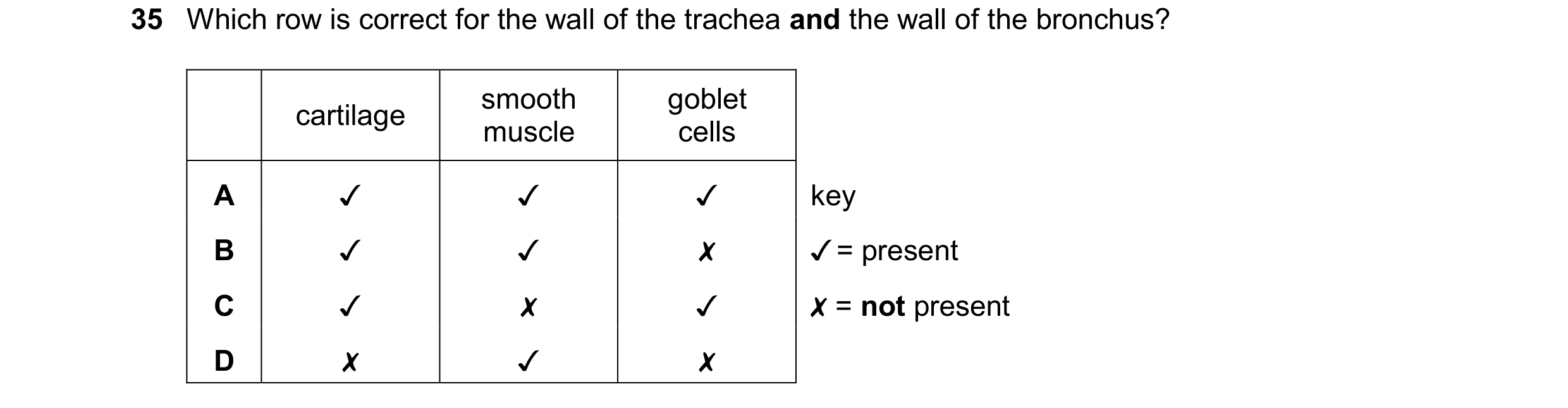 Question 257: Which row is correct for the wall of the trachea and the wall of the bronchus?
cartilage smooth goblet
muscle cells
A v v v key
B Jv v x ¥…