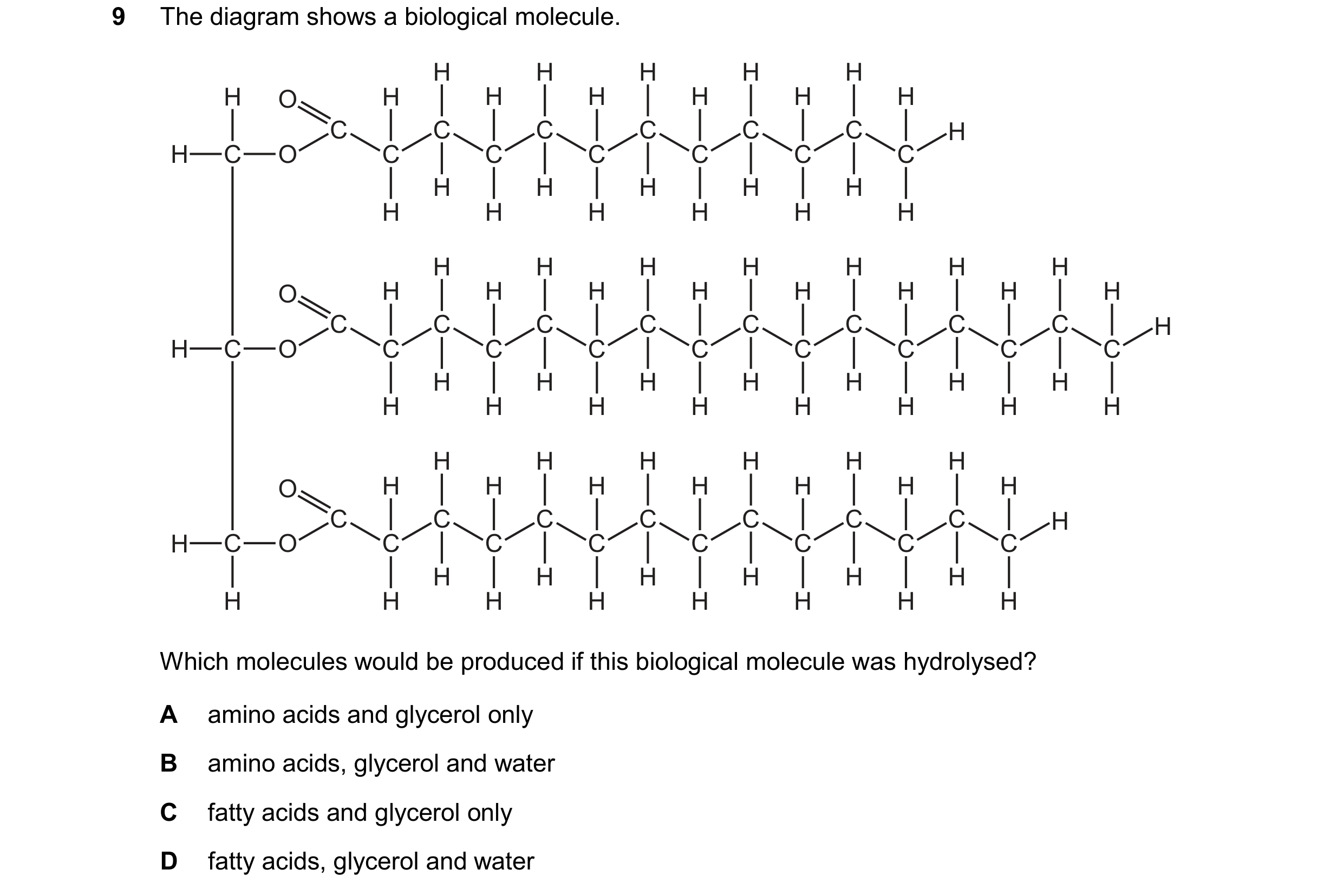 Question 332: The diagram shows a biological molecule. H H H H H H O H H H H H H C C C C C C H H C O C C C C C C H H H H H H H H H H H H H H H H H H O H …