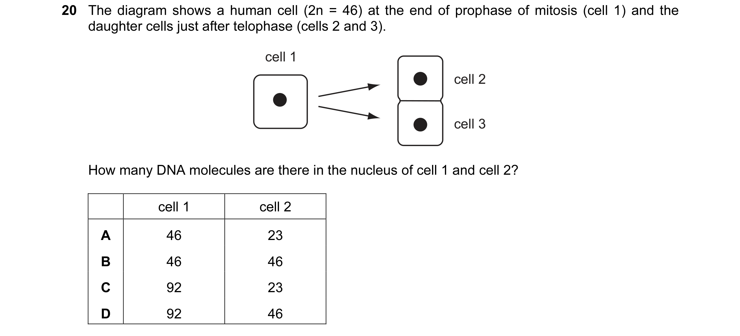 Question 34: The diagram shows a human cell (2n = 46) at the end of prophase of mitosis (cell 1) and the daughter cells just after telophase (cells 2 an…