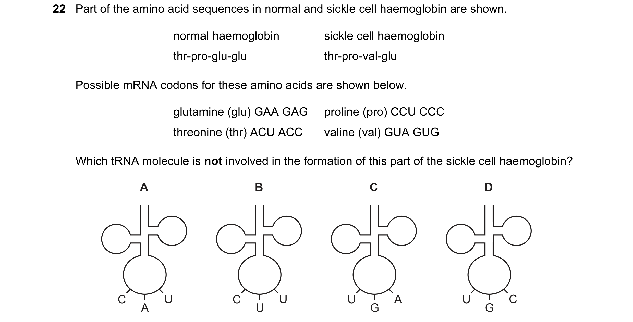 Question 58: Part of the amino acid sequences in normal and sickle cell haemoglobin are shown. normal haemoglobin sickle cell haemoglobin thr-pro-glu-gl…