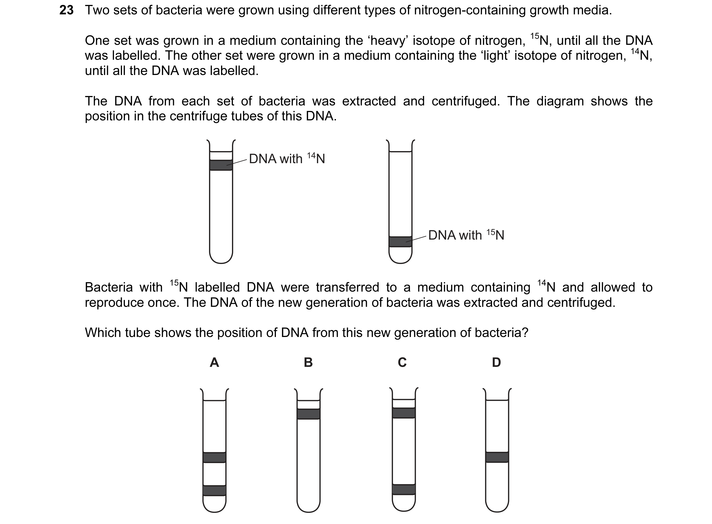 Question 64: Two sets of bacteria were grown using different types of nitrogen-containing growth media. One set was grown in a medium containing the ‘he…