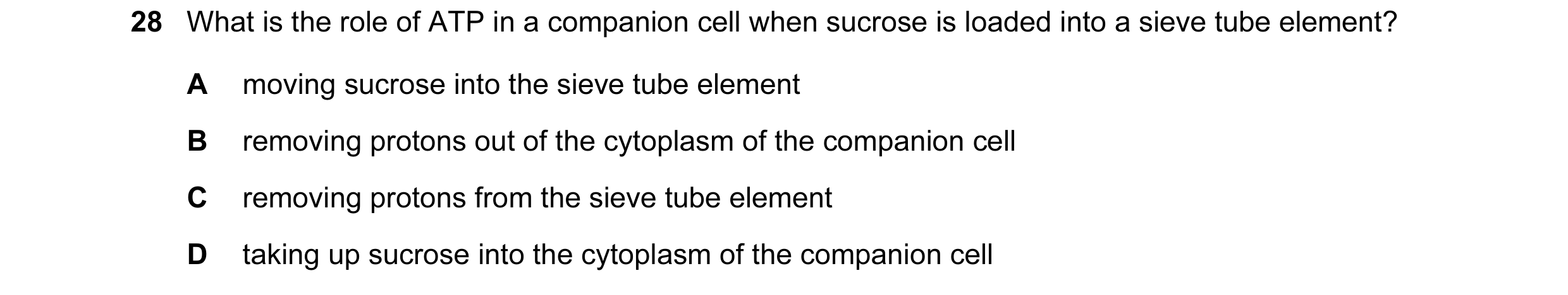 Question 91: What is the role of ATP in a companion cell when sucrose is loaded into a sieve tube element? A moving sucrose into the sieve tube element …