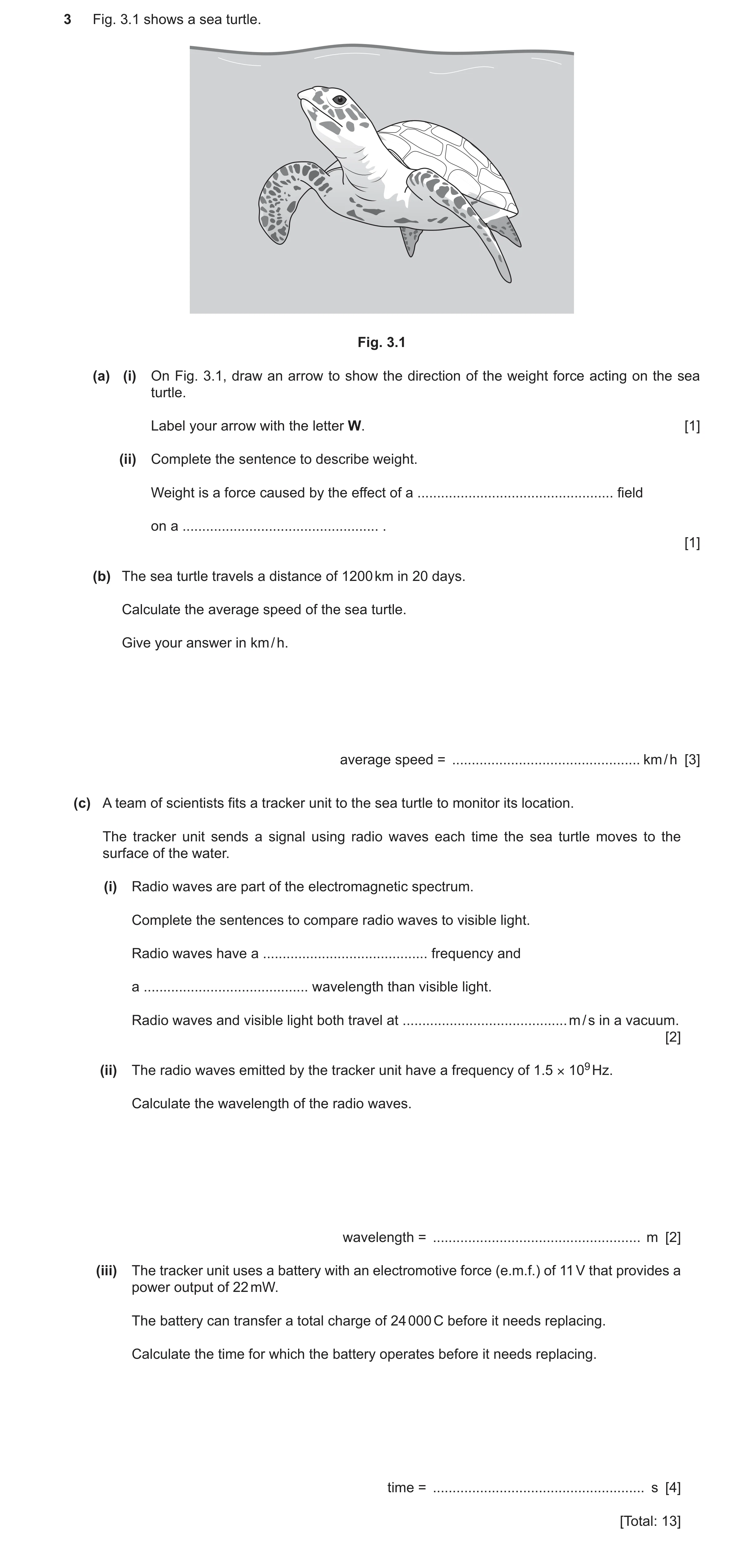 Question 20: Fig. 3.1 shows a sea turtle. Fig. 3.1 (a) (i) On Fig. 3.1, draw an arrow to show the direction of the weight force acting on the sea turtle…