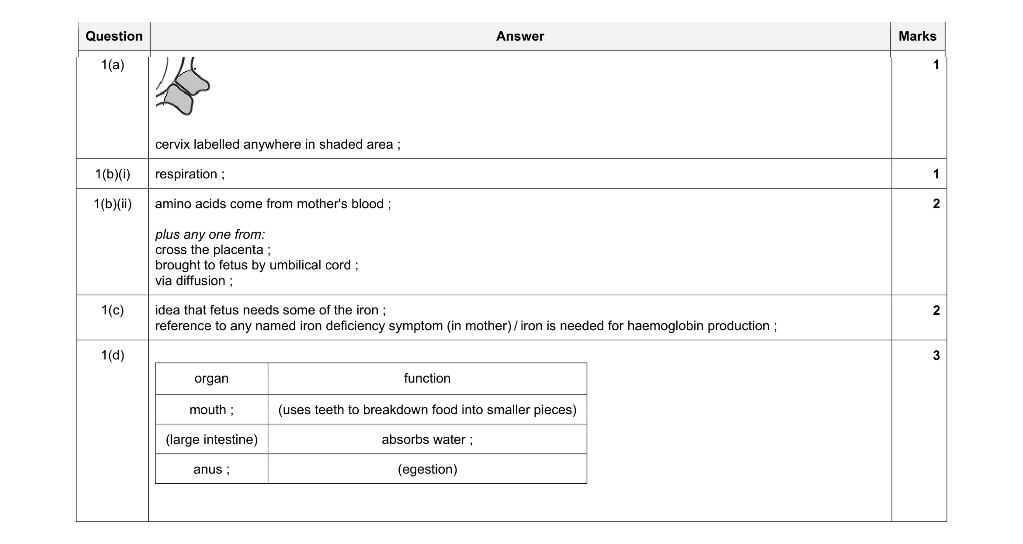 Mark scheme for question 11