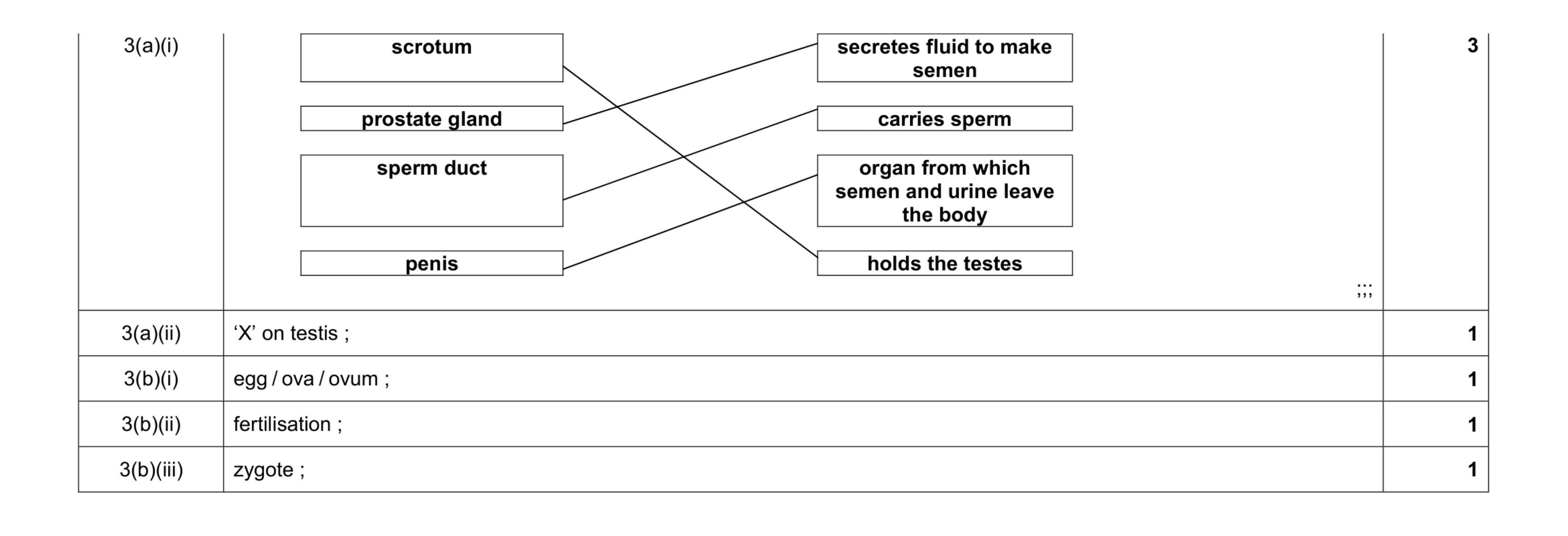 Mark scheme for question 2