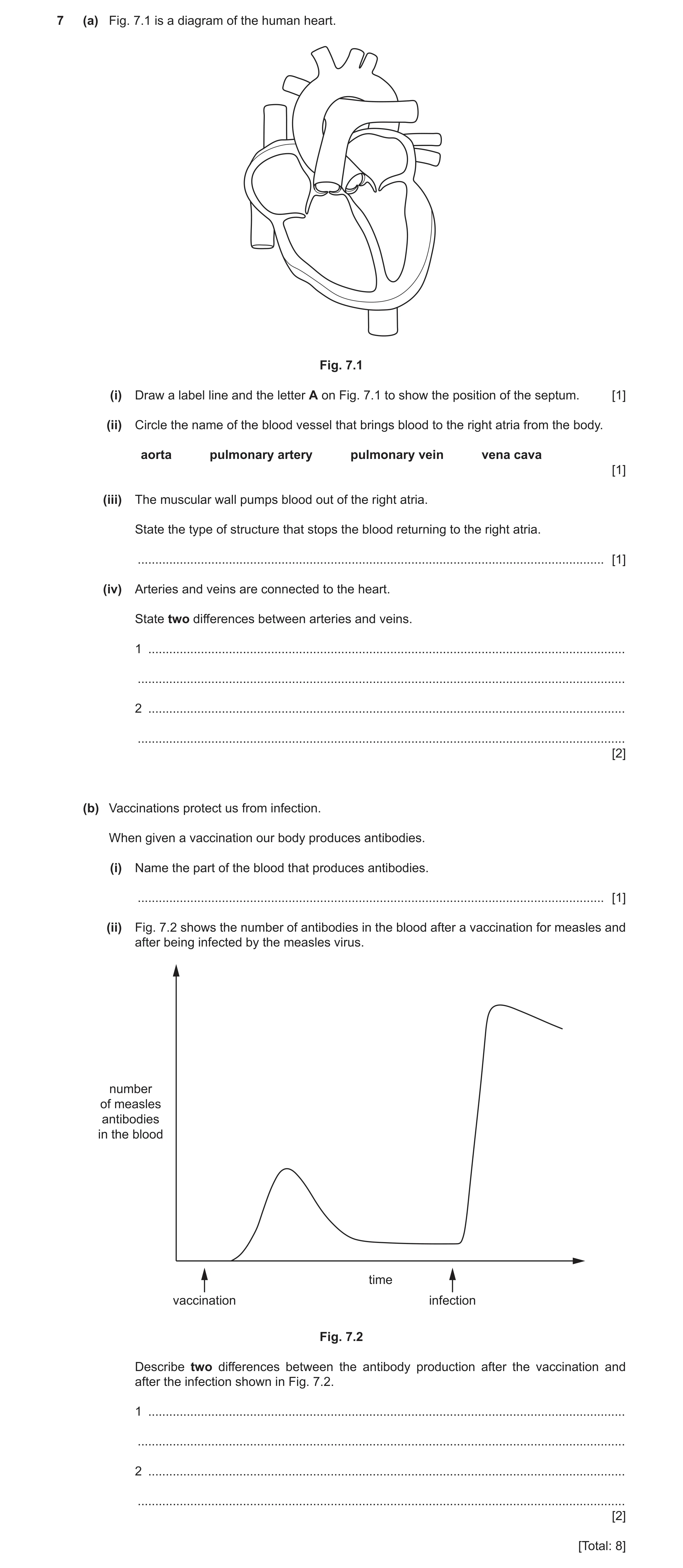 Question 7: (a) Fig. 7.1 is a diagram of the human heart. Fig. 7.1 (i) Draw a label line and the letter A on Fig. 7.1 to show the position of the septu…