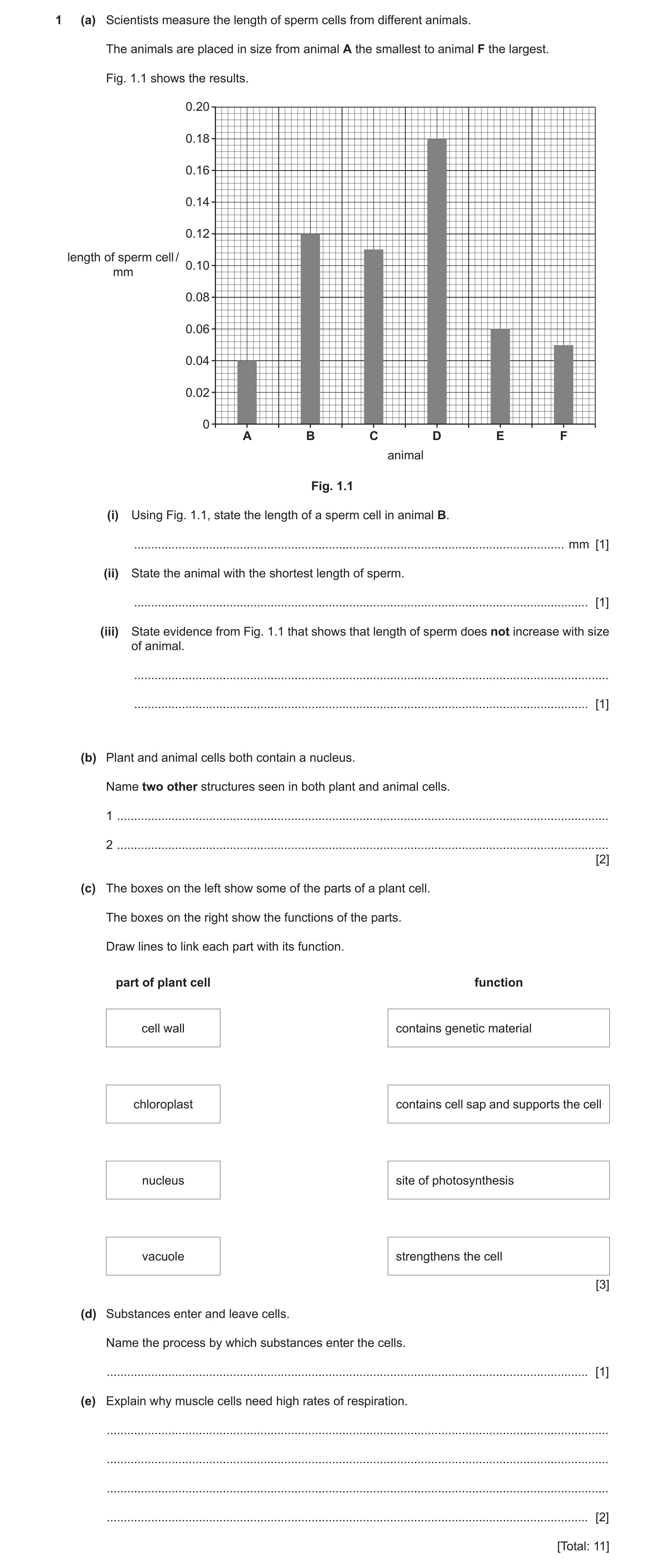 Question 11: (a) Scientists measure the length of sperm cells from different animals. The animals are placed in size from animal A the smallest to anima…