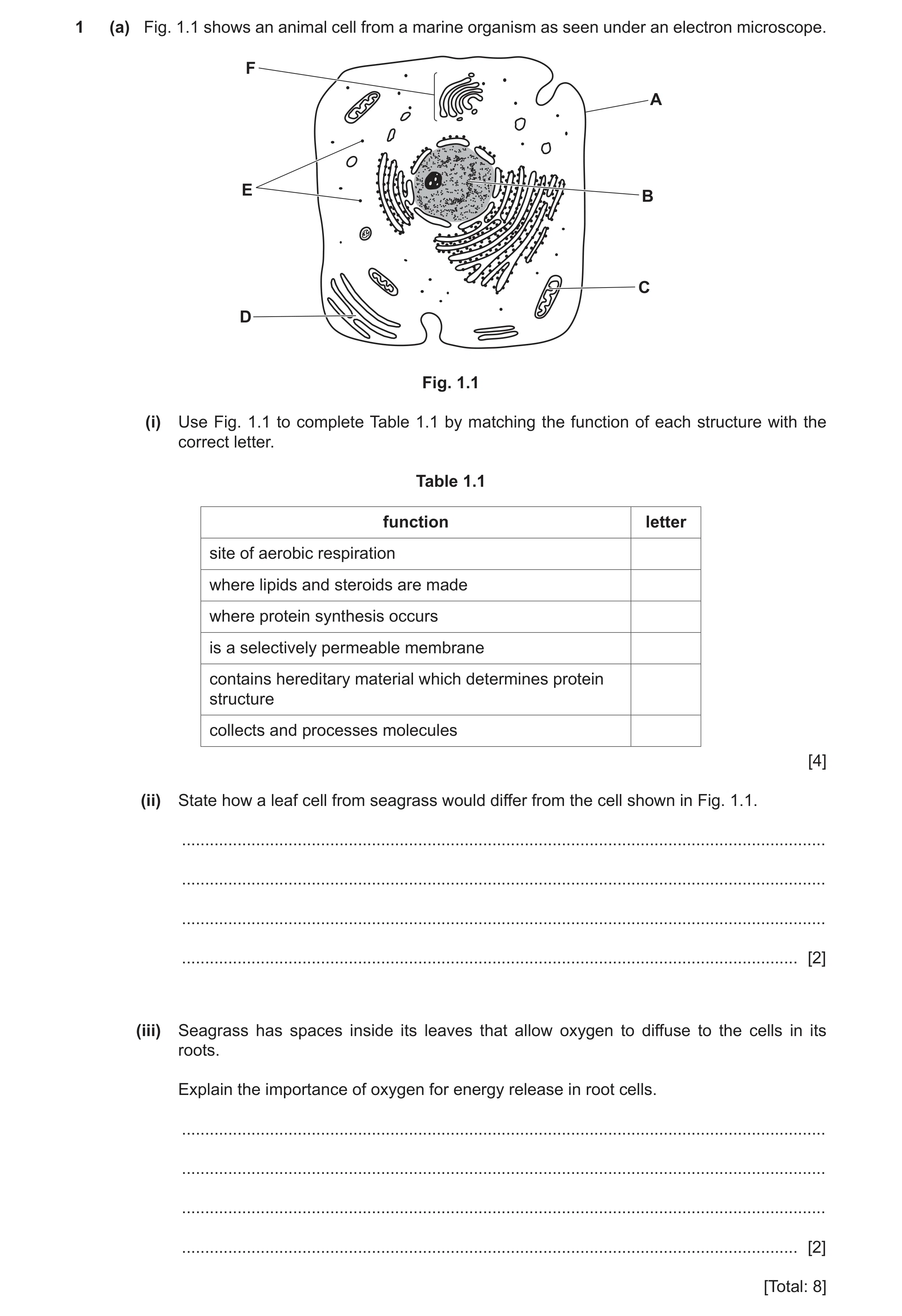 Question 6: (a) Fig. 1.1 shows an animal cell from a marine organism as seen under an electron microscope. F A E B C D Fig. 1.1 (i) Use Fig. 1.1 to com…