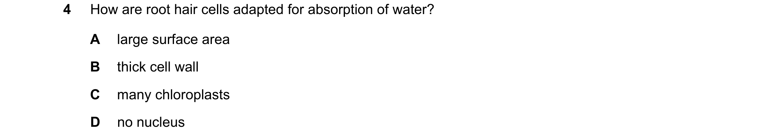Question 9: How are root hair cells adapted for absorption of water? A large surface area B thick cell wall C many chloroplasts D no nucleus