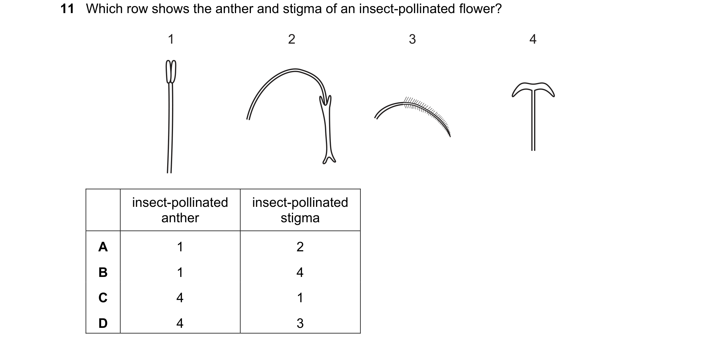 Question 63: Which row shows the anther and stigma of an insect-pollinated flower? 1 2 3 4 insect-pollinated insect-pollinated anther stigma A 1 2 B 1 4…