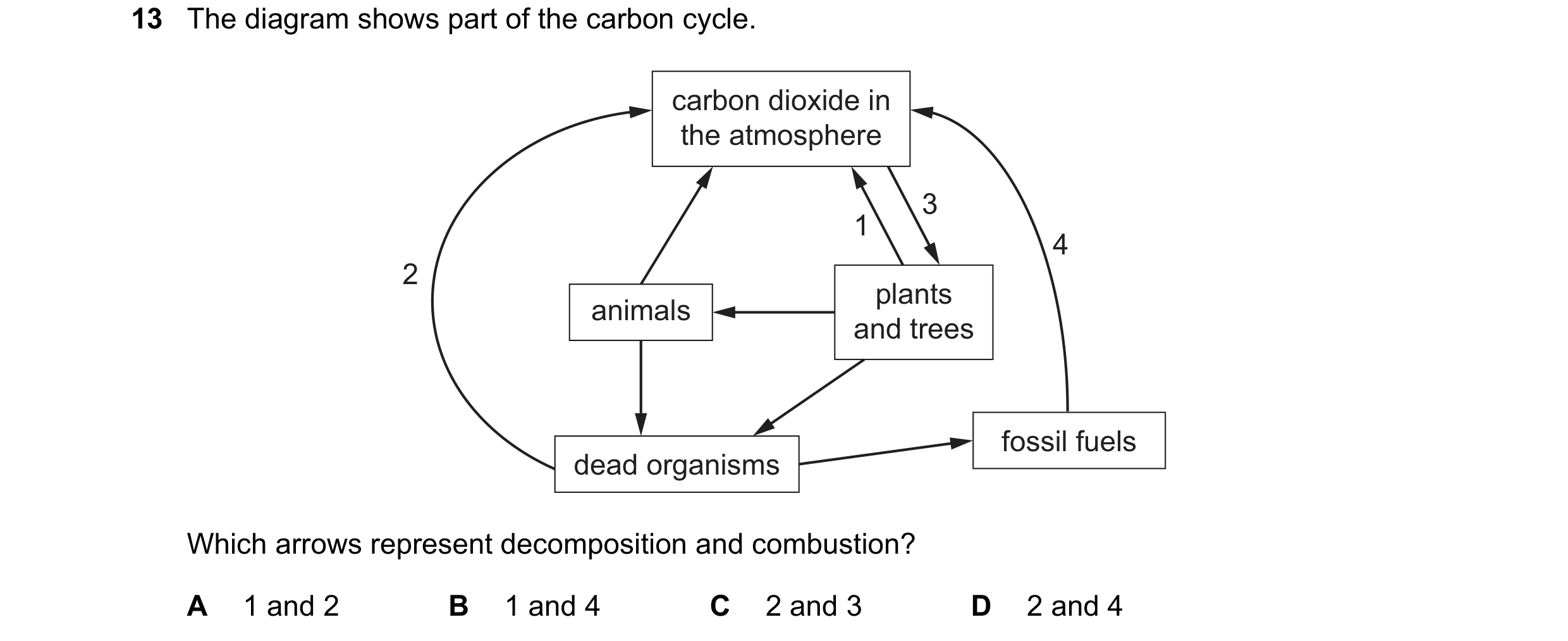 Question 14: The diagram shows part of the carbon cycle. carbon dioxide in the atmosphere 3 1 4 2 plants animals and trees fossil fuels dead organisms W…