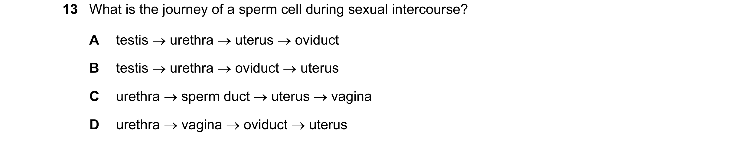 Question 86: What is the journey of a sperm cell during sexual intercourse? A testis urethra uterus oviduct B testis urethra oviduct uterus …