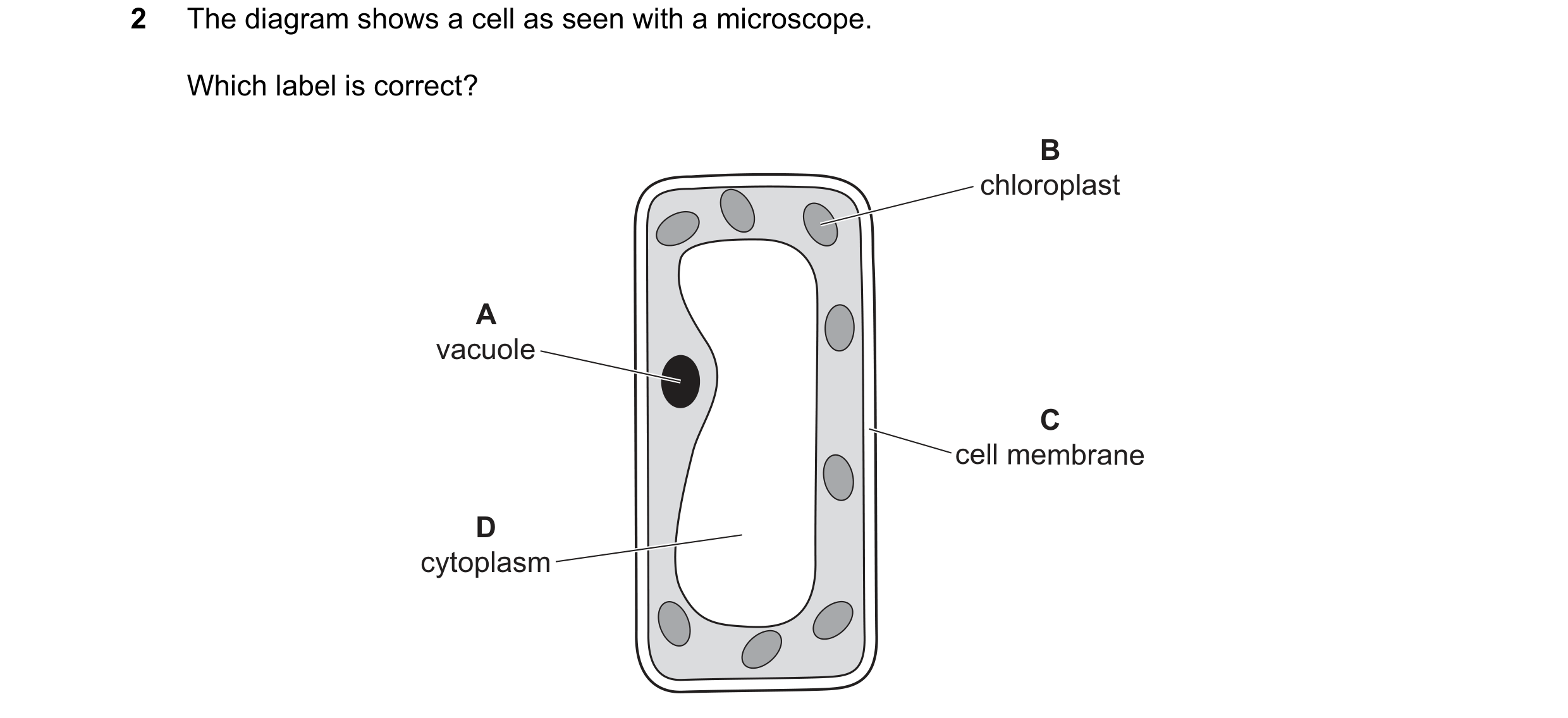 Question 75: The diagram shows a cell as seen with a microscope. Which label is correct? B chloroplast A vacuole C cell membrane D cytoplasm